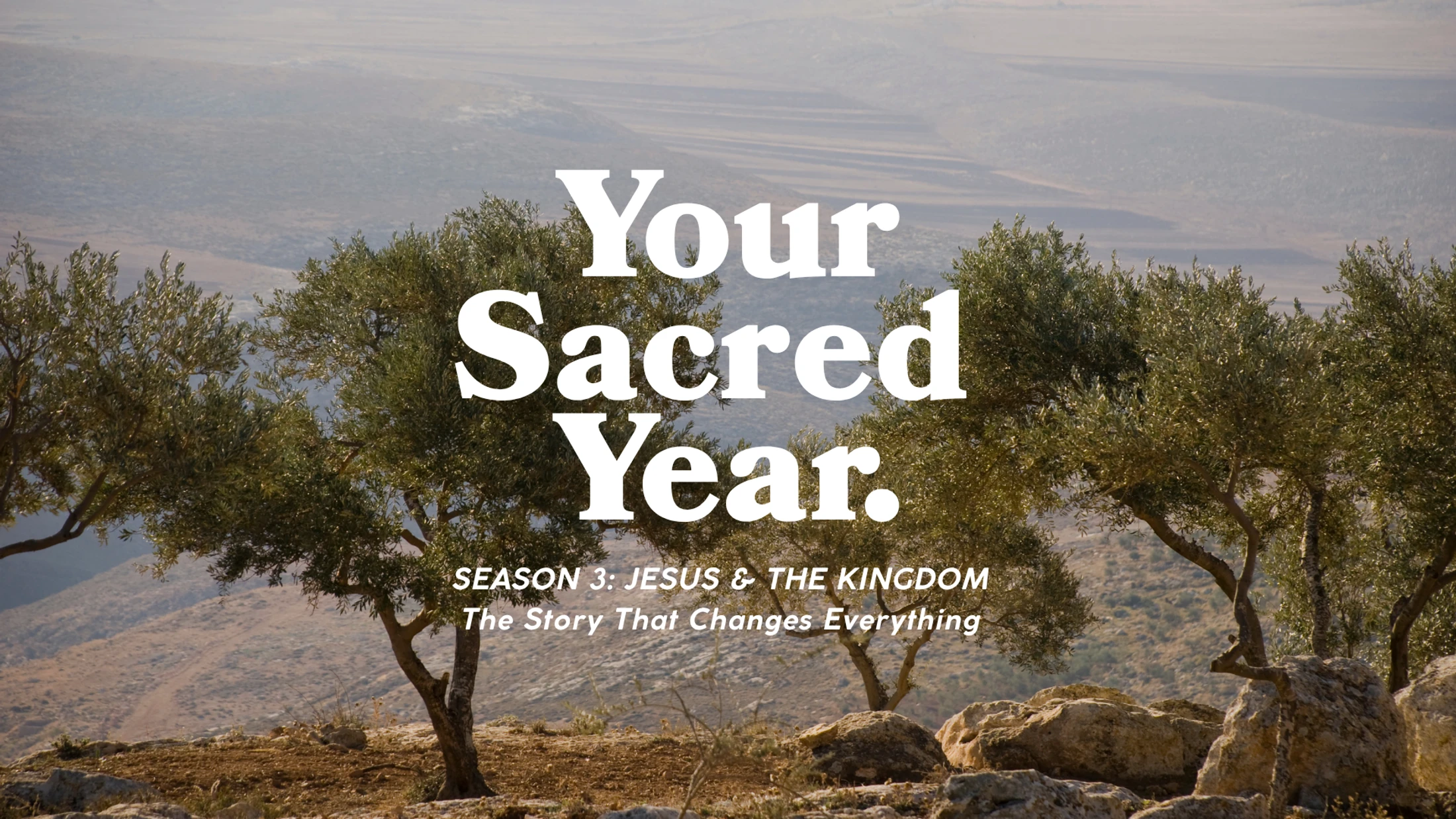 Consider the Birds | Matthew 6 | Your Sacred Year (Week 22)