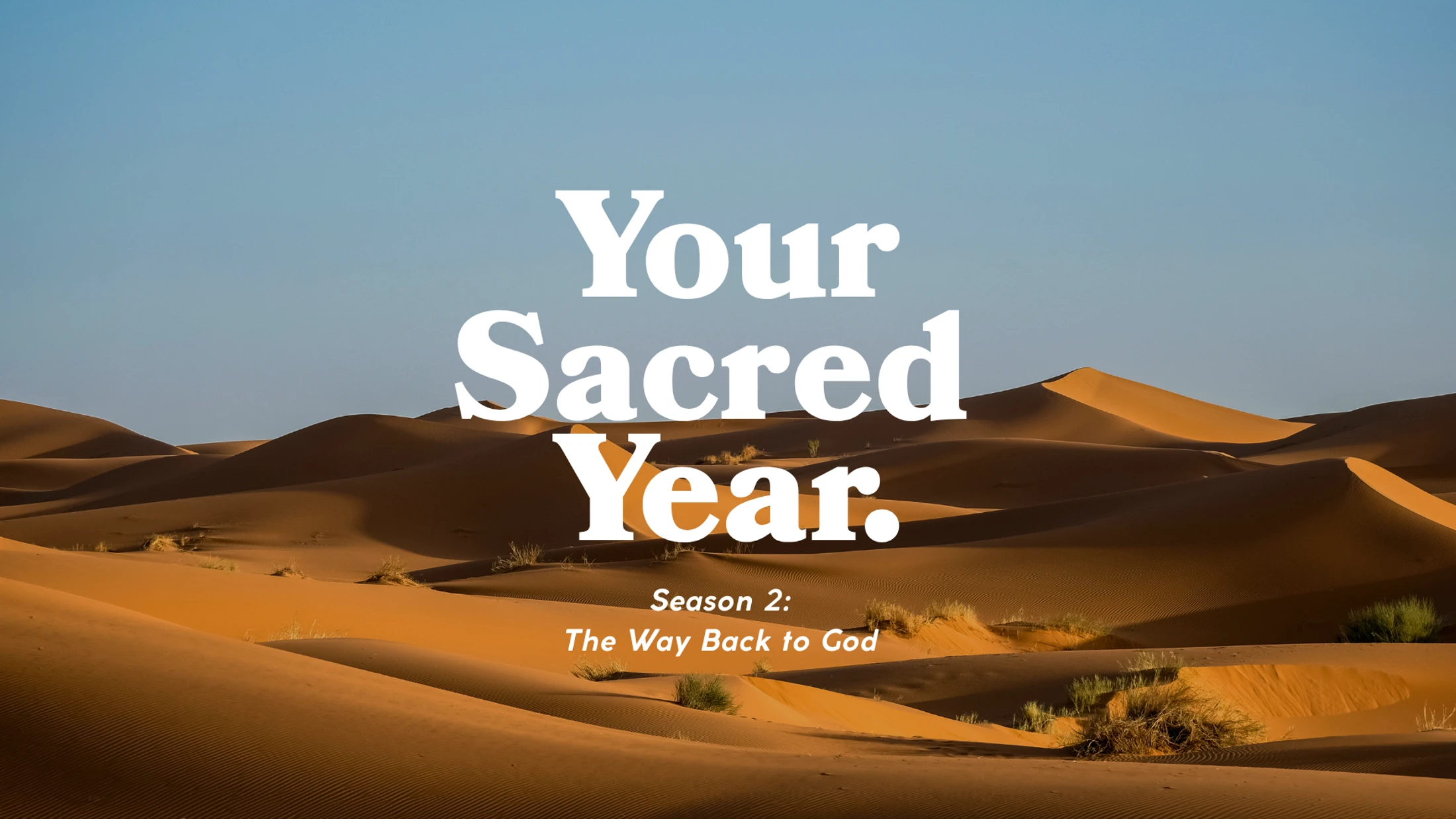 Hope For a Future | Jeremiah 29 | Your Sacred Year (Week 17)