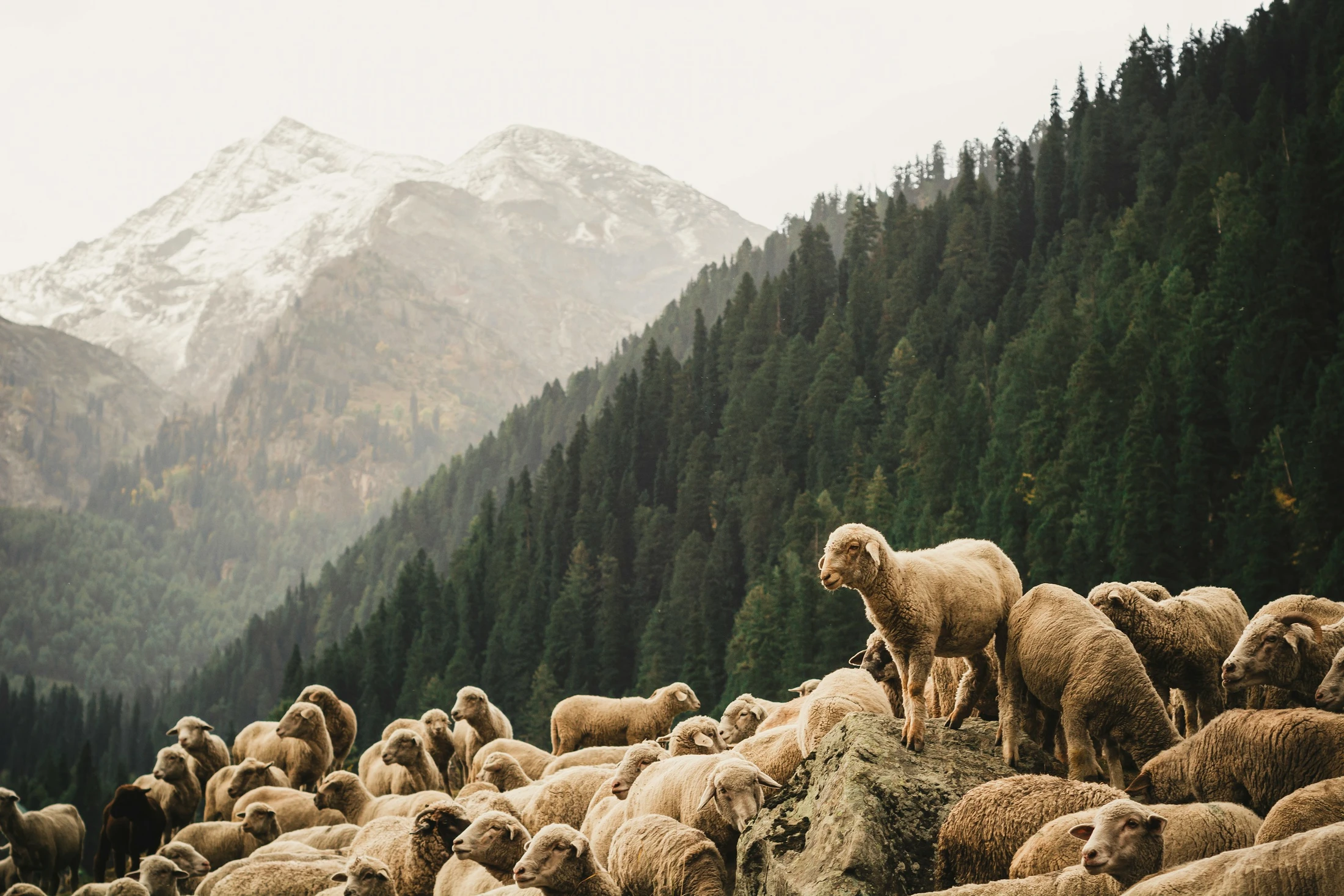 The Power of the Present Tense : Moving Your Faith from a Memory ("Was") to a Reality ("Is")