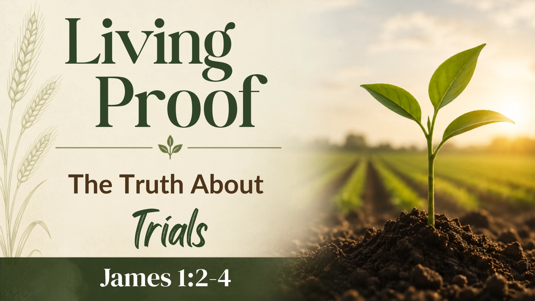 The Truth About Trials