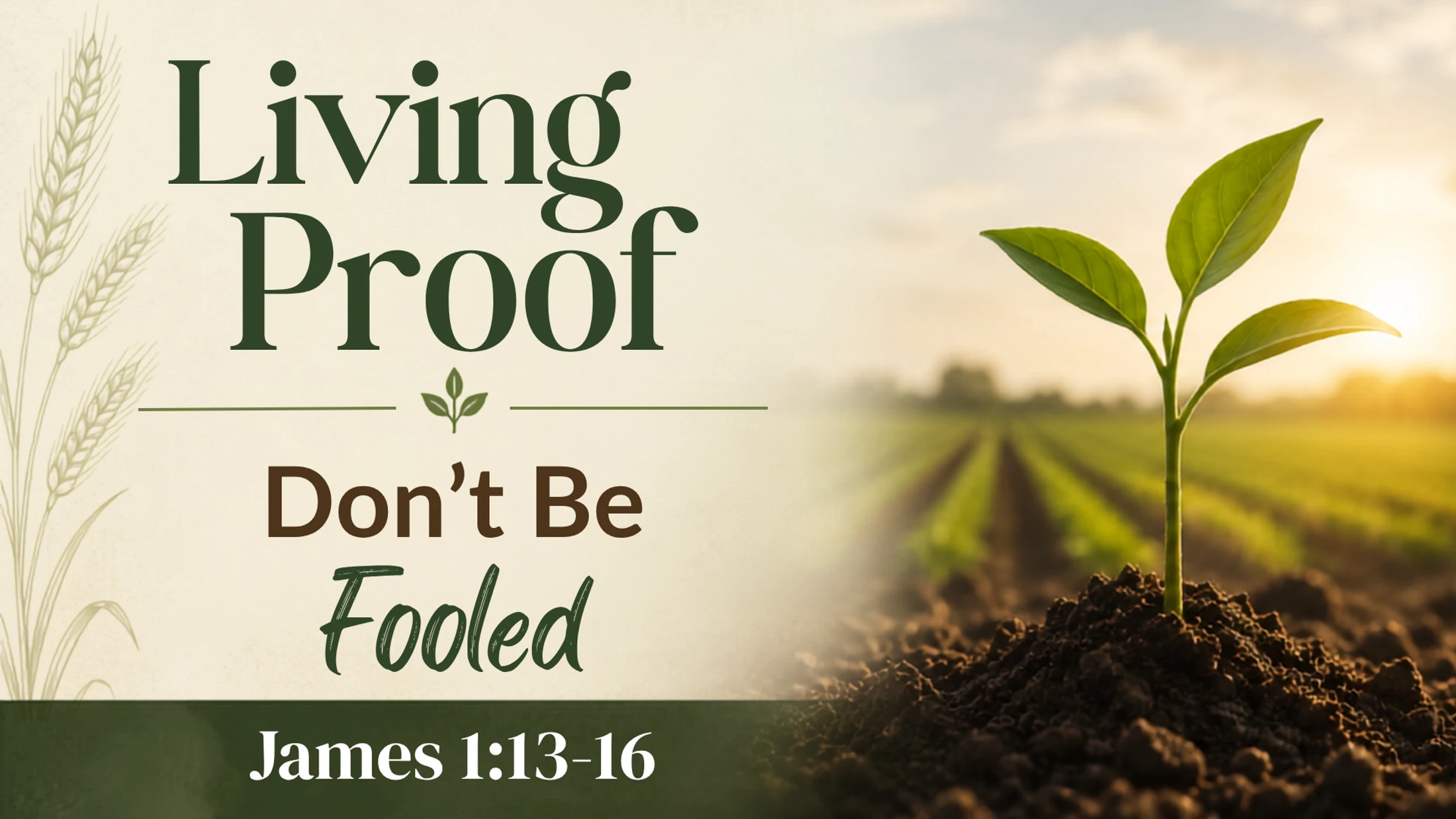 Don't Be Fooled