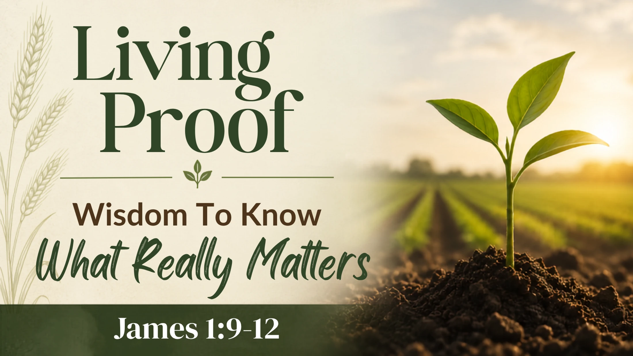 Wisdom to Know What Really Matters