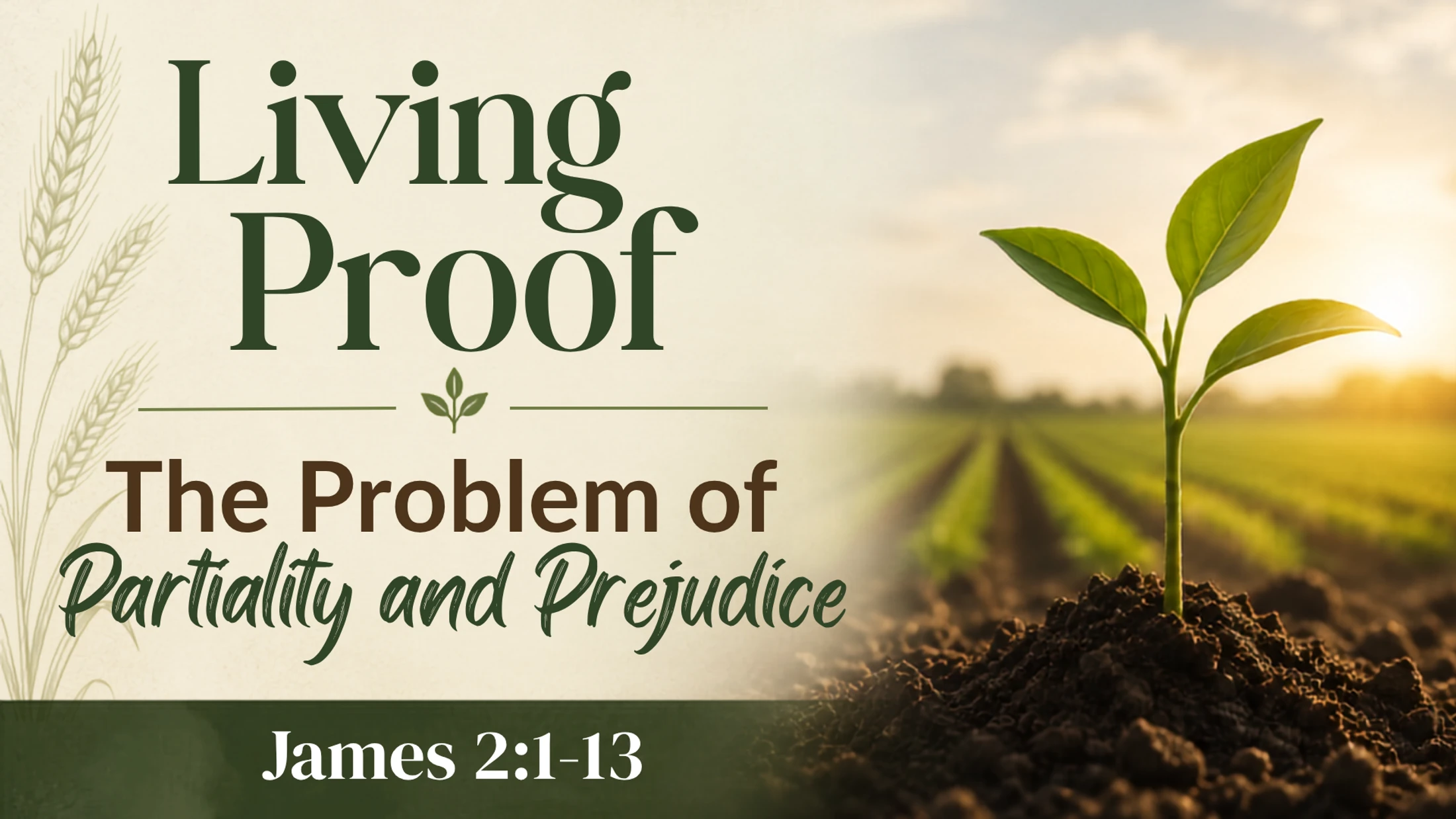 The Problem of Partiality & Prejudice
