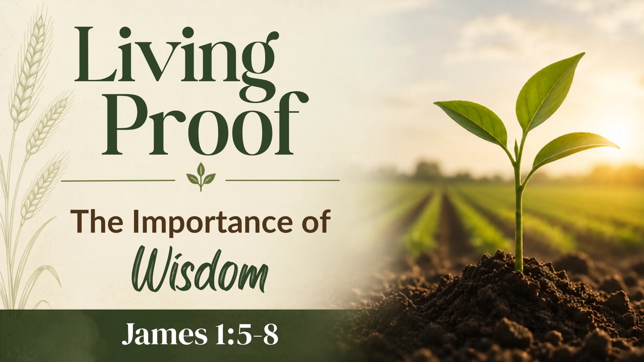 The Importance of Wisdom