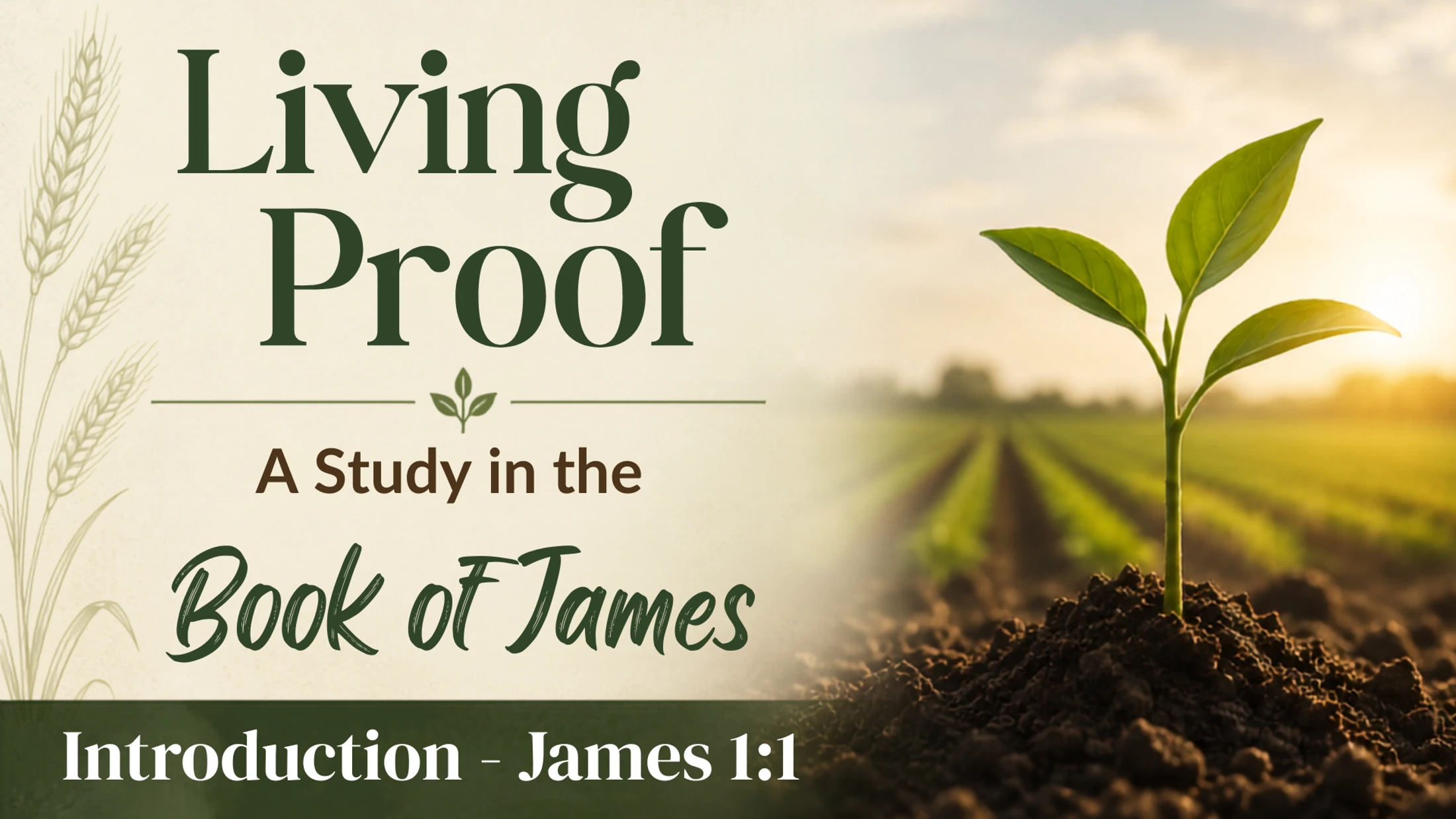 Introduction to the Book of James