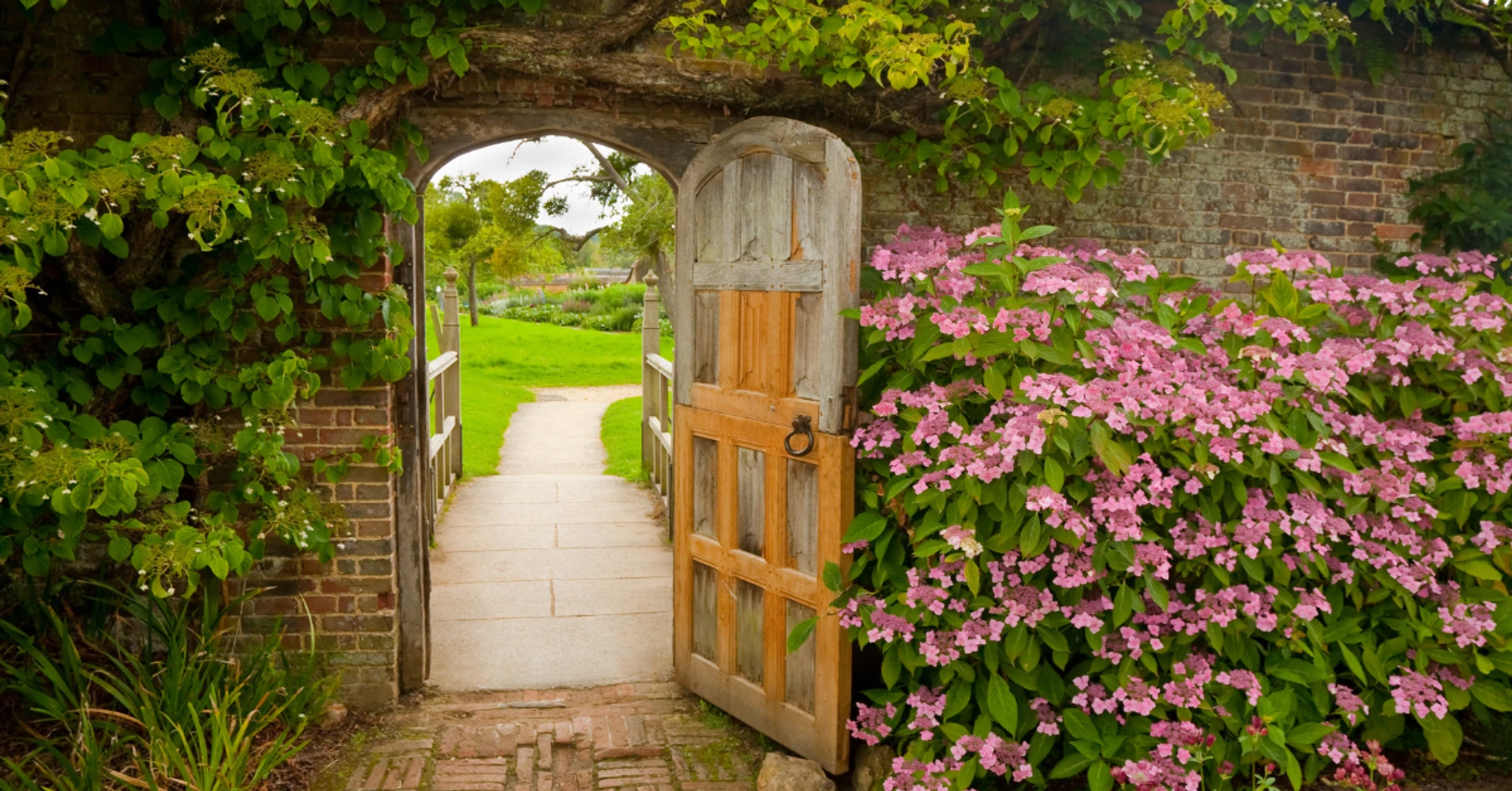 "I Am the Door": Encountering the God Who Invites You into Freedom