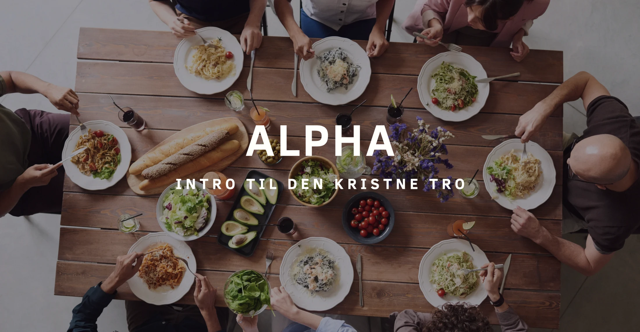 ALPHA FEST