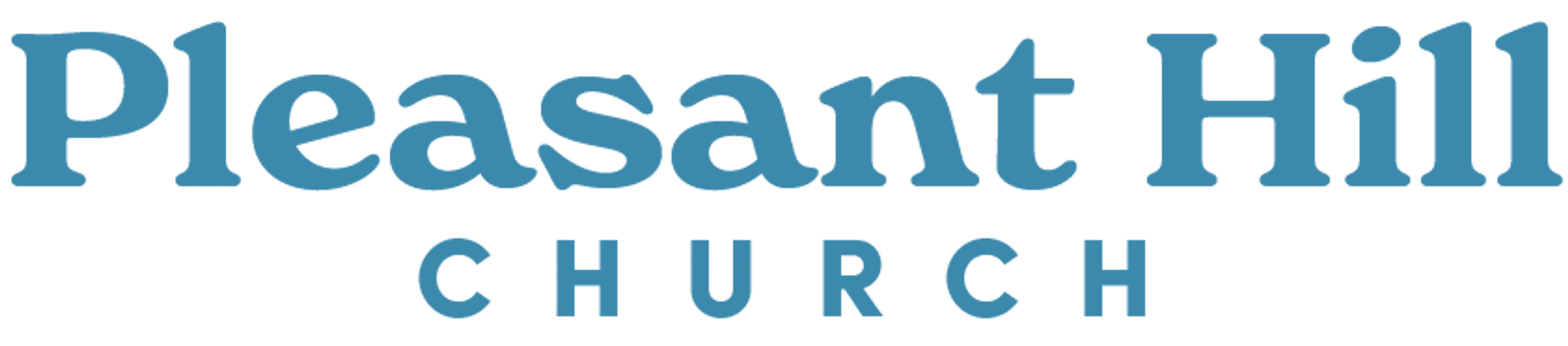 Main Logo