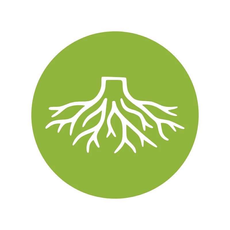 Rooted