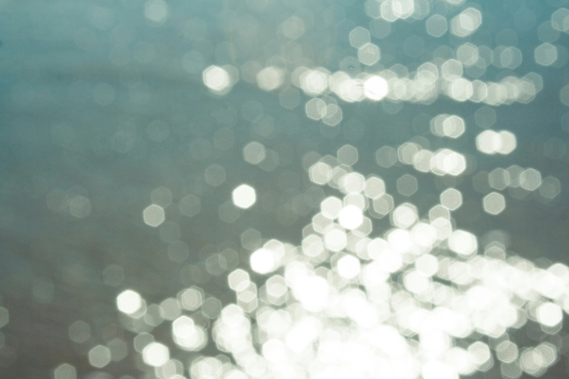 Women's Luncheon: Of Water and the Spirit