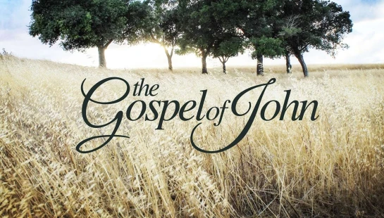 1 John: Questions About Jesus and Us