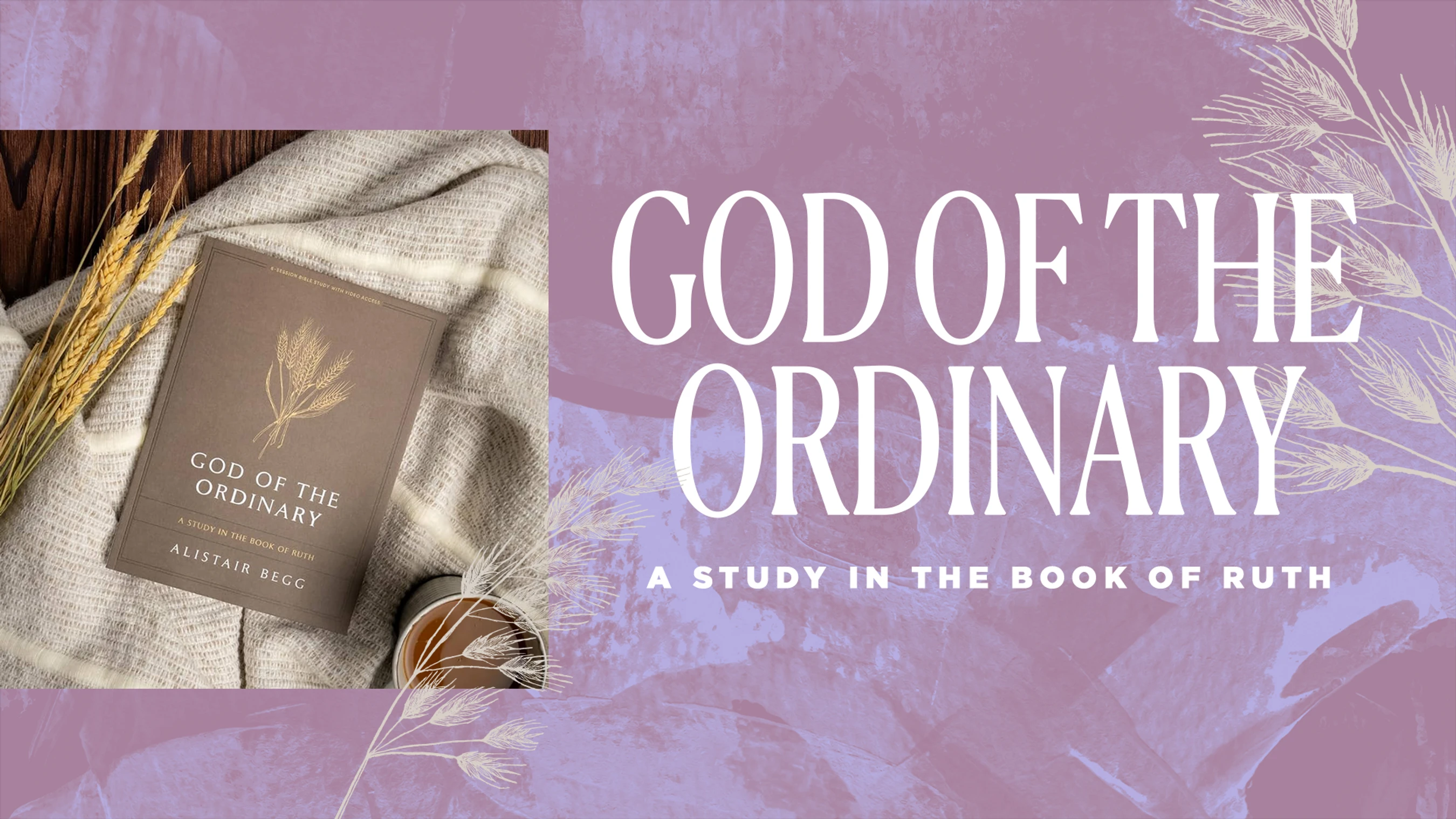 <span style="color:var(--primary-color-bg)"></span>Fall Bible Study