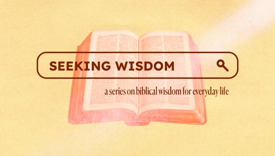Seeking Wisdom