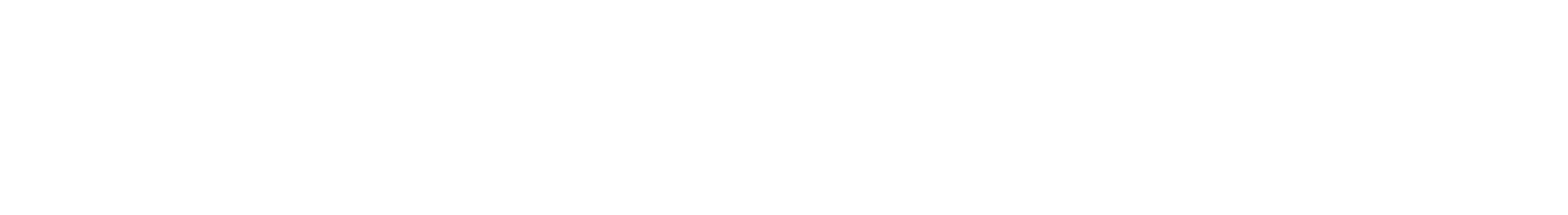 Main Logo