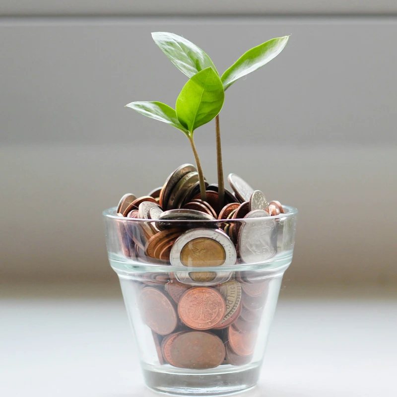 Financial Wellness Workshop