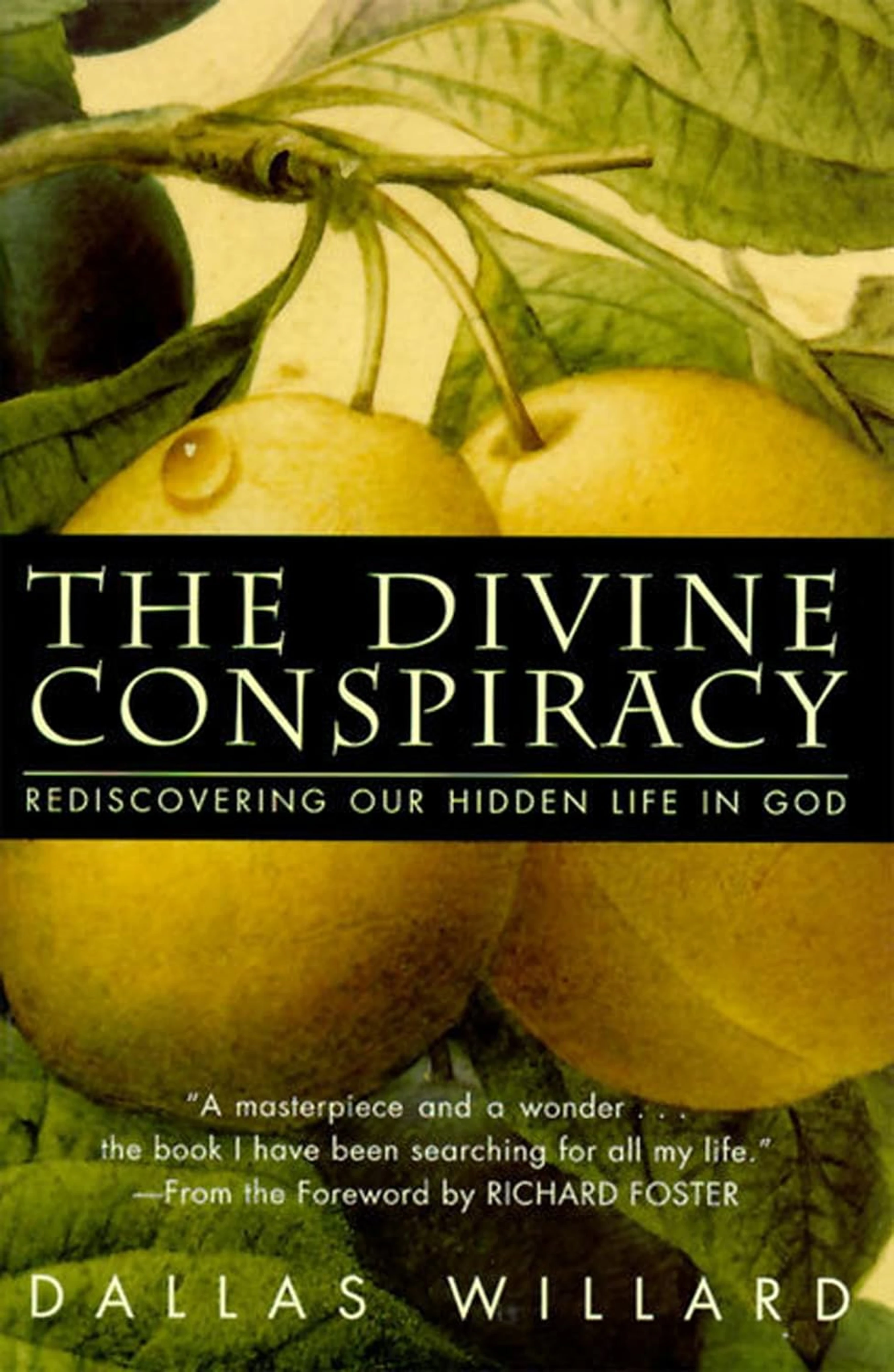Throughout <a href="https://a.co/d/0hJoTxGL"><span style="text-decoration: underline;"><strong><em>The Divine Conspiracy</em></strong></span></a>, Dallas Willard skillfully weaves together biblical teaching, popular culture, science, scholarship, and spiritual practice, revealing what it means to “apprentice” ourselves to Jesus. Using Jesus’s Sermon on the Mount as his foundation, Willard masterfully explores life-changing ways to experience and be guided by God daily, leading to a more authentic and dynamic faith.