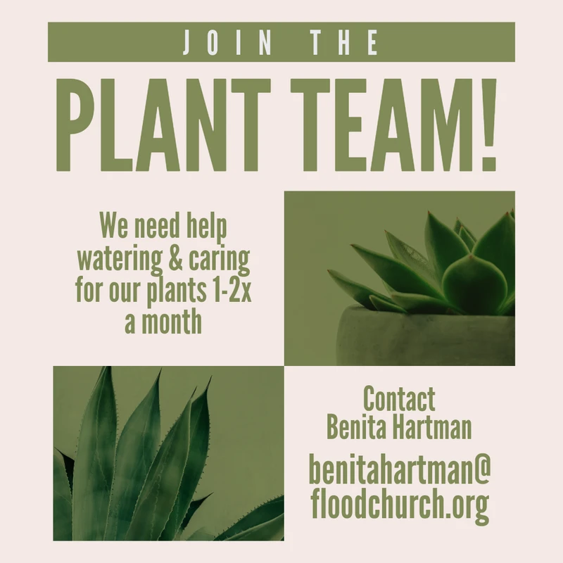 A graphic asking volunteers to join the Plant Team to help water plants. It has pictures of succulents and provides contact information.