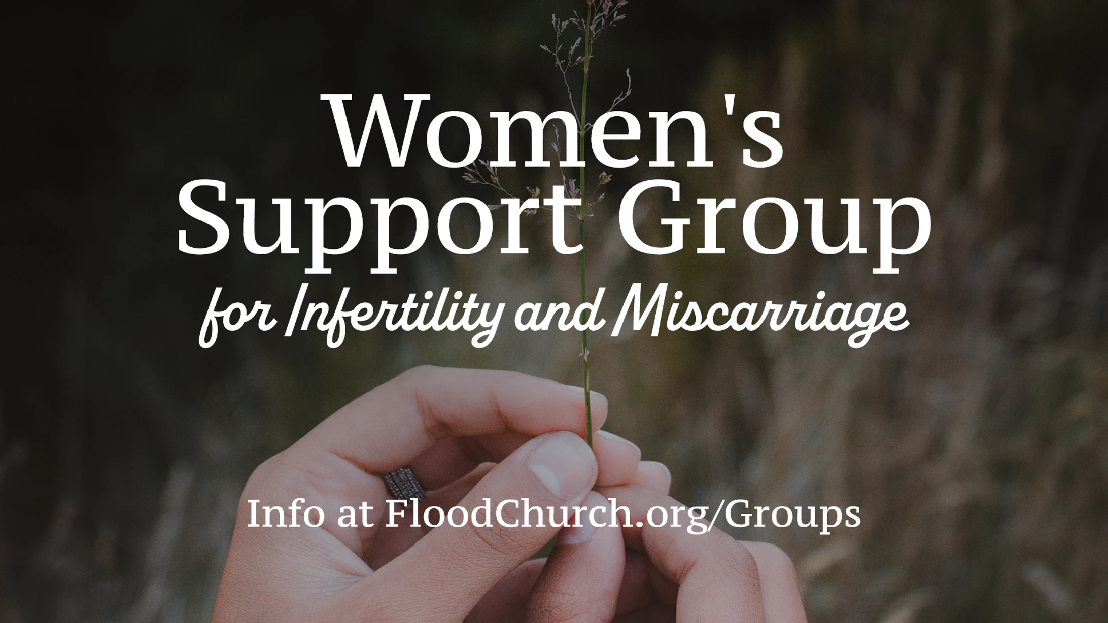 A person's hands gently hold a delicate plant stalk. Text overlay reads: Women's Support Group for Infertility and Miscarriage. Info at FloodChurch.org/Groups.