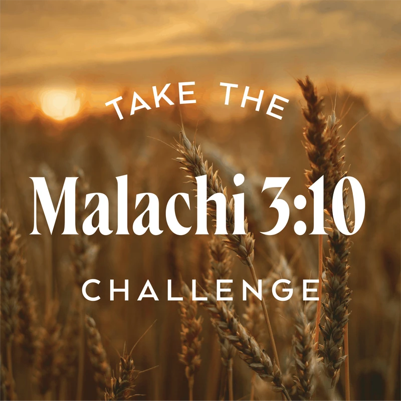 White text reading "Take the Malachi 3:10 Challenge" is layered over a close-up image of a golden wheat field at sunset.