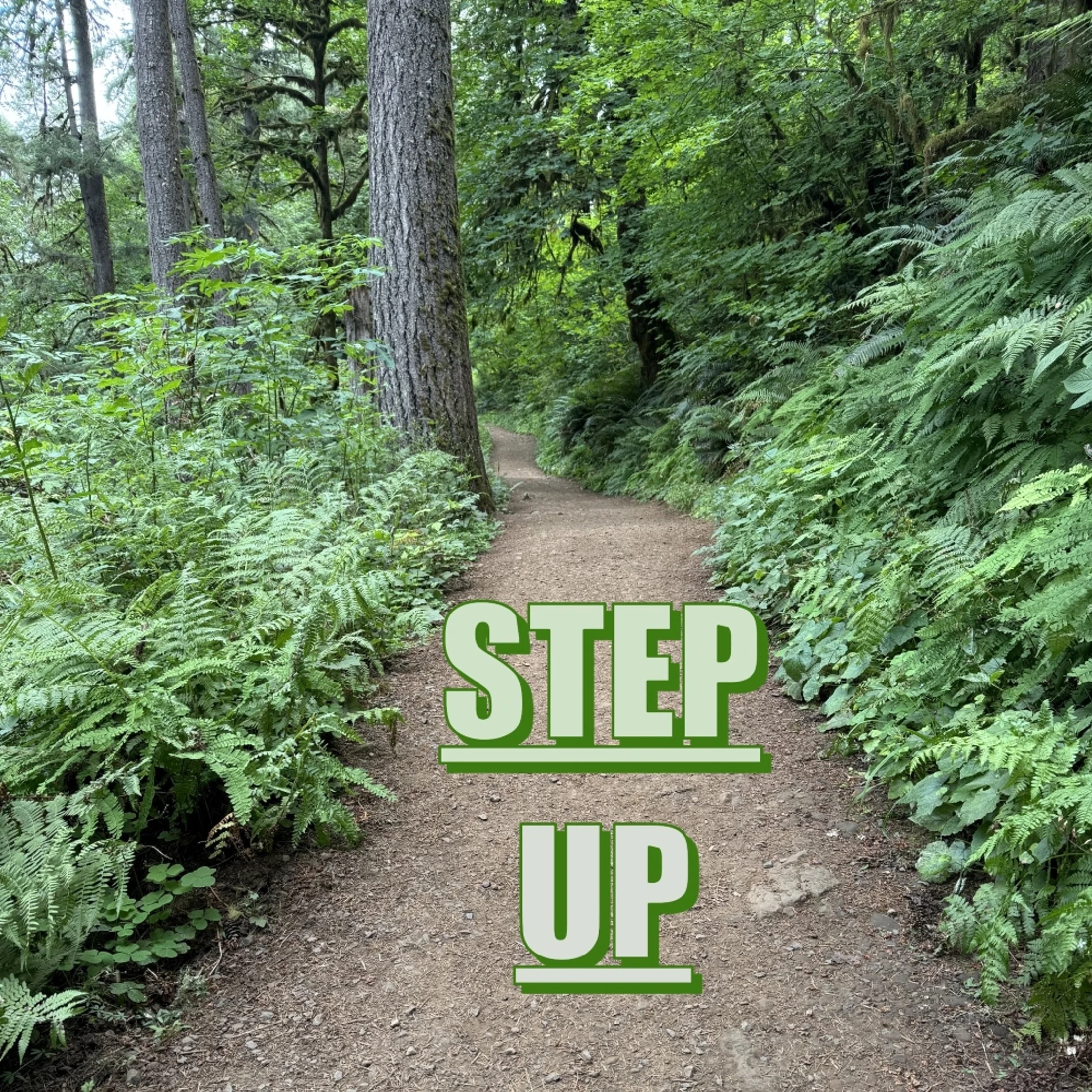 Stepping Up