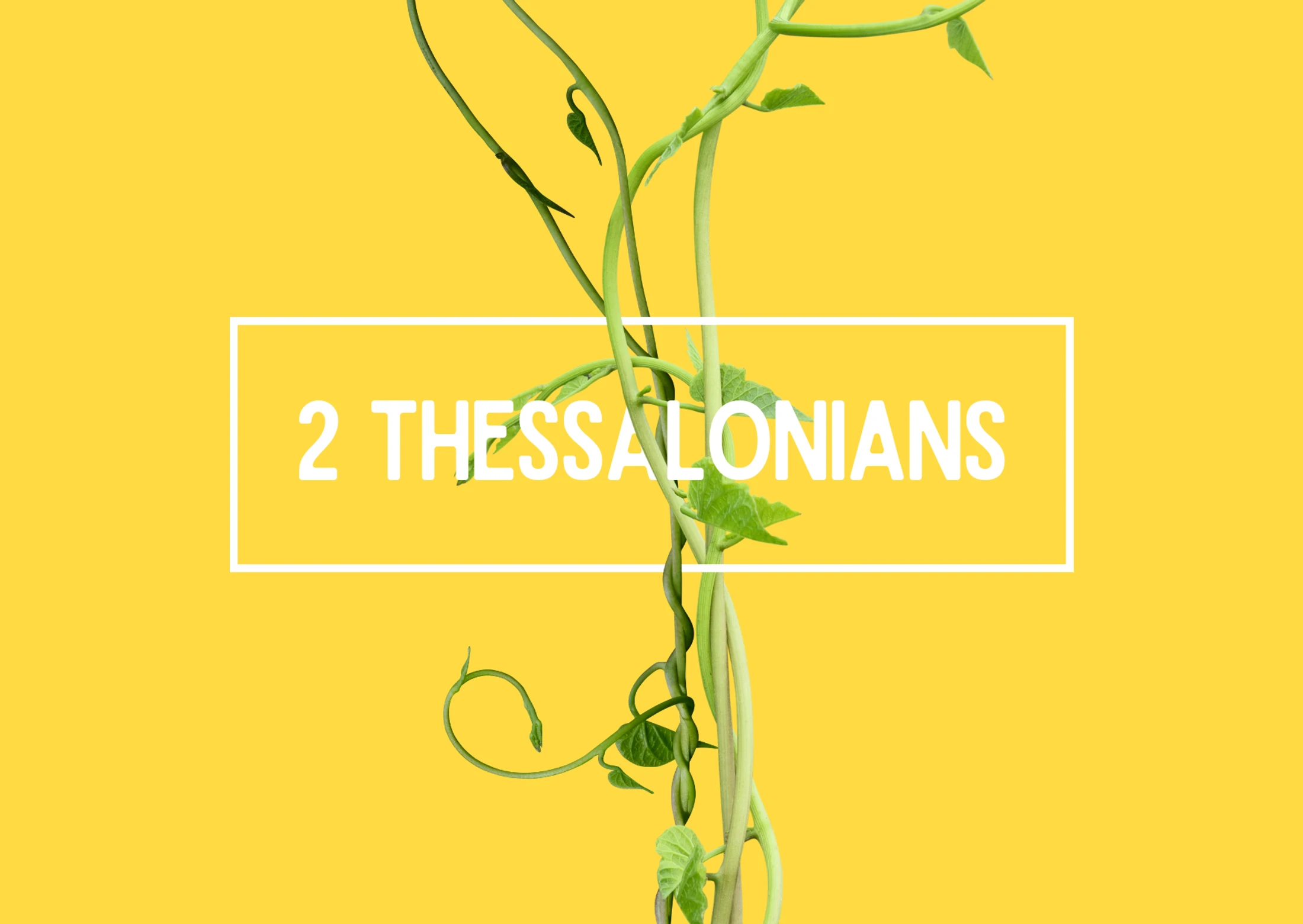 2 Thessalonians 3