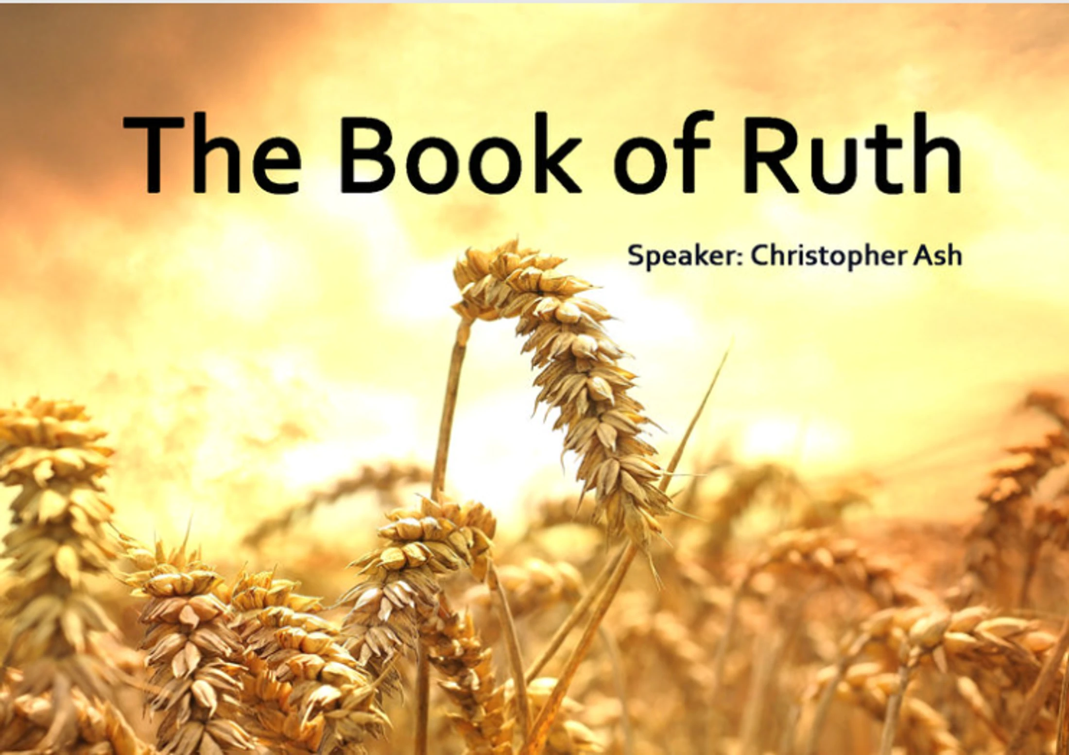 The Book of Ruth