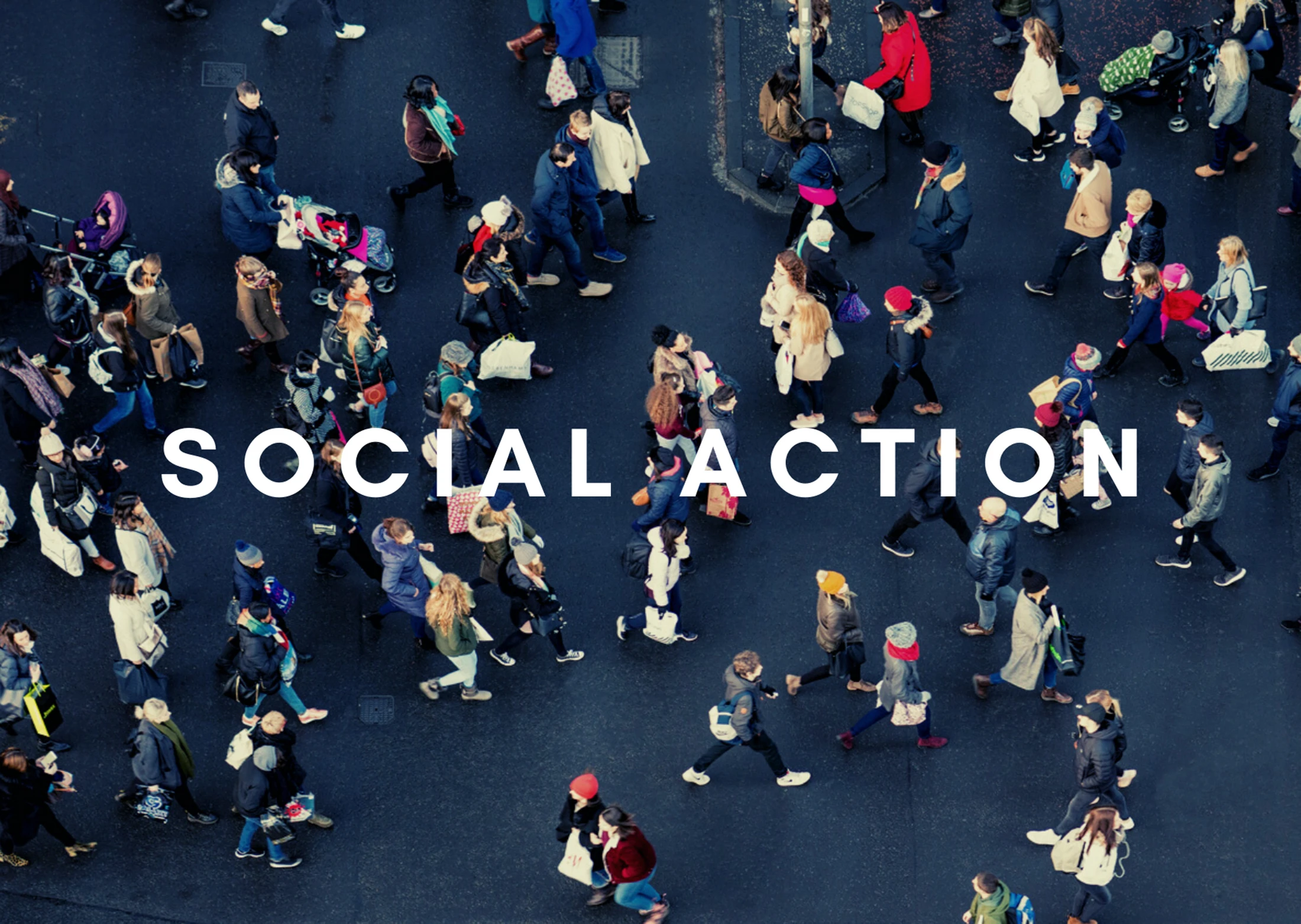 Social Action
