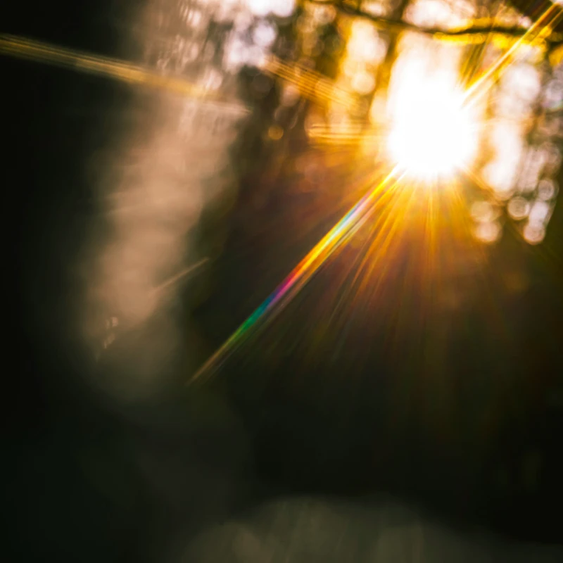 An abstract photo of bright sunlight filtering through trees, causing a dramatic starburst effect and a colorful lens flare against a dark foreground.