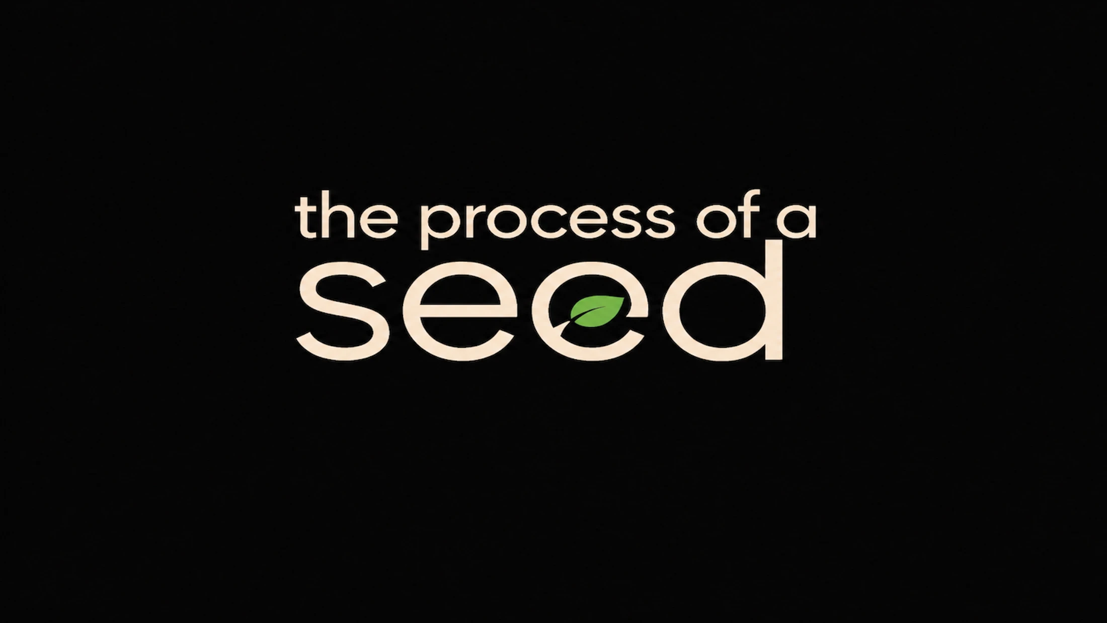 The Process of the Seed