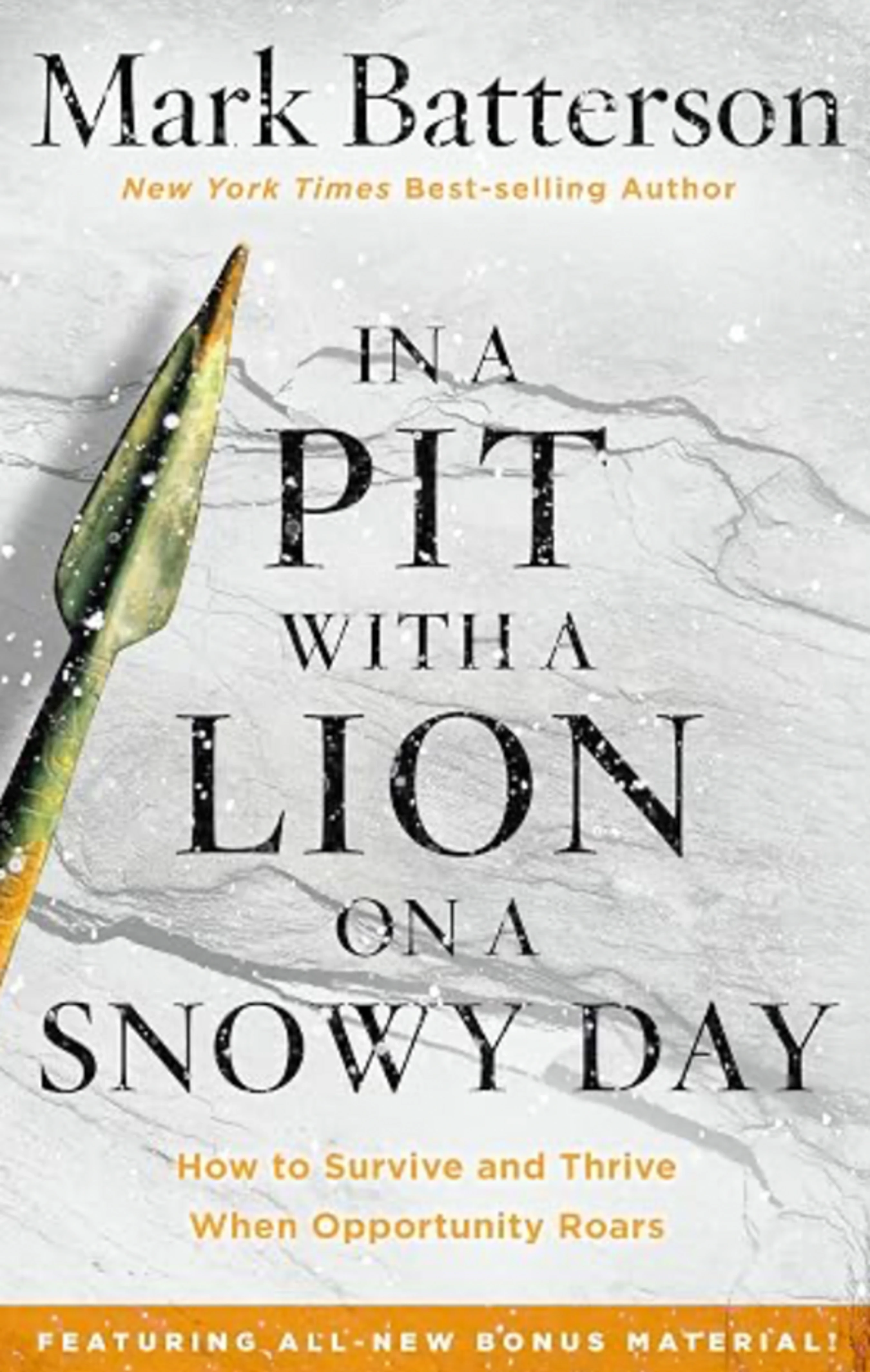 The book cover for 'In a Pit with a Lion on a Snowy Day'. The title is in black text over a snowy background, with a spear tip visible on the left side.