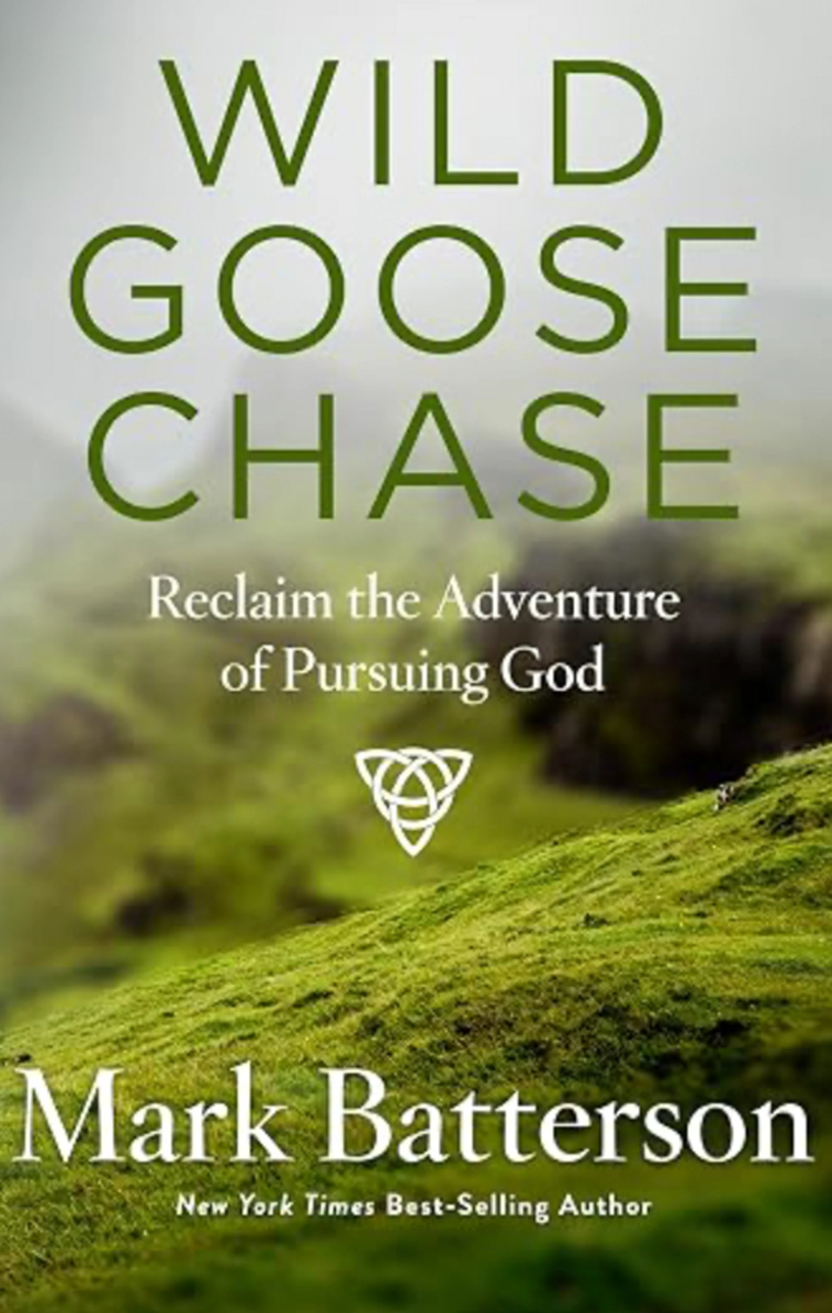 The book cover for 'Wild Goose Chase' by Mark Batterson. The title is set against a photo of a vibrant green, rolling hillside under a misty sky.