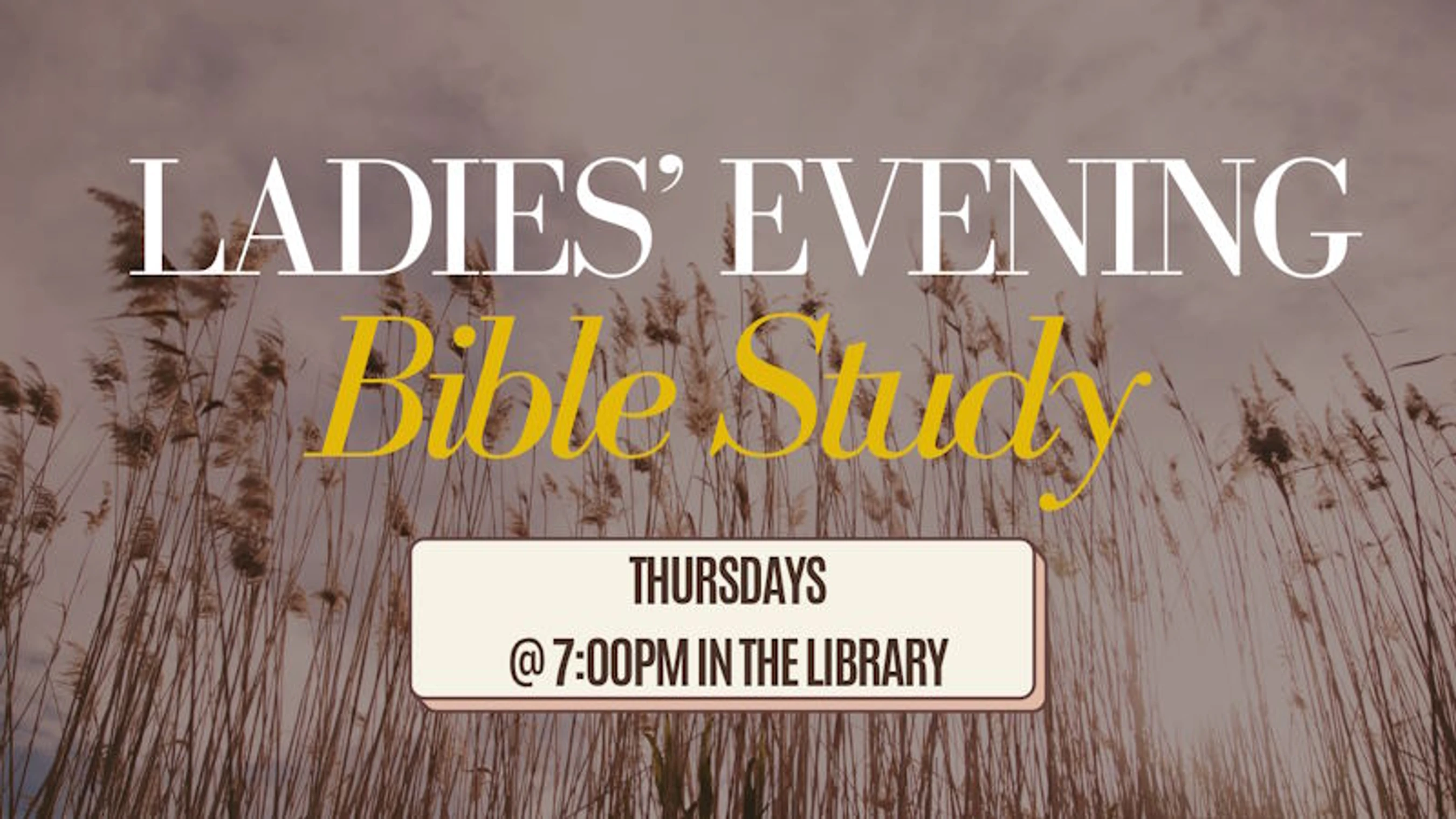 Ladies' Thursday <i style="font-weight: normal;"><span style="color:var(--primary-color-bg)">Evening Bible Study</span></i>