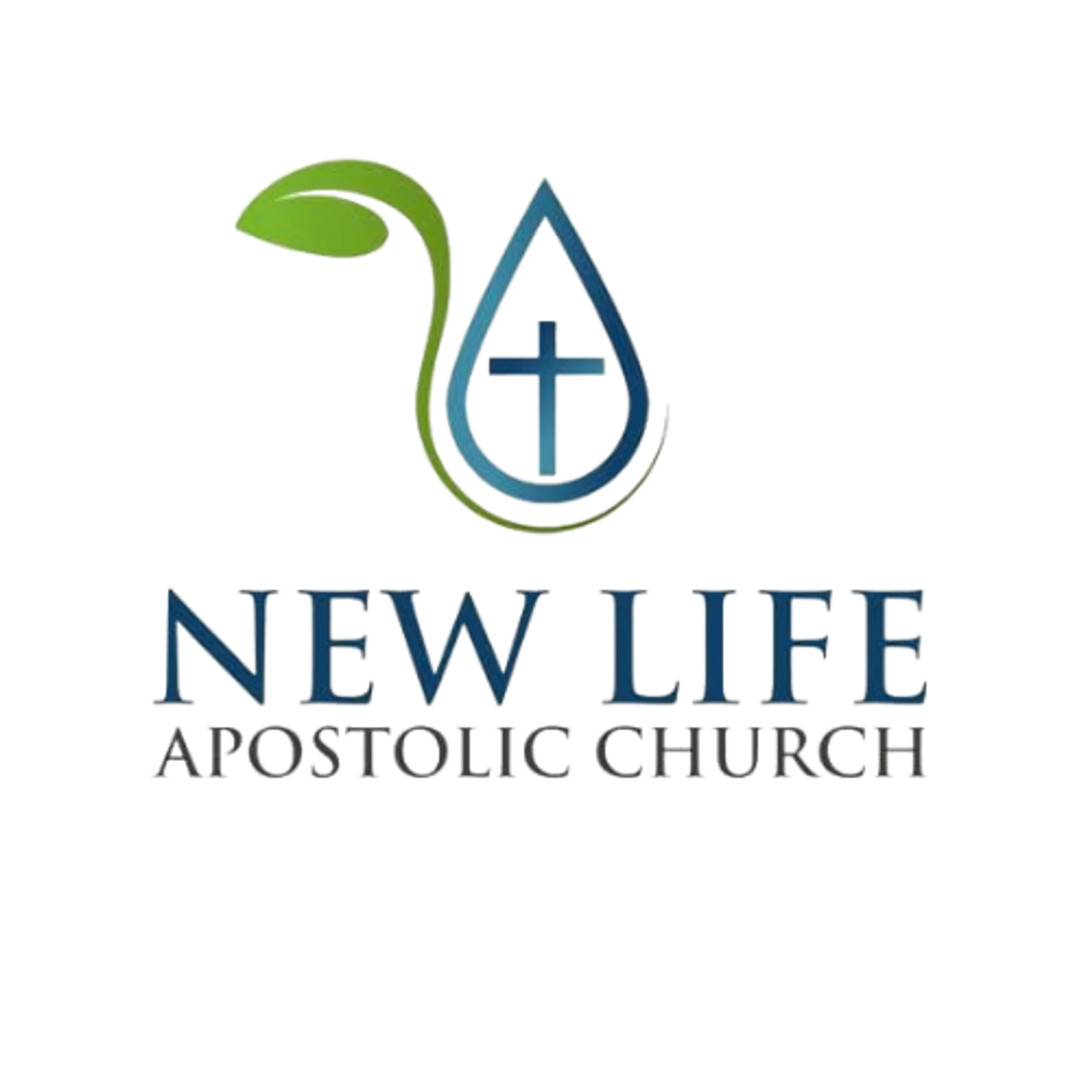 Main Logo