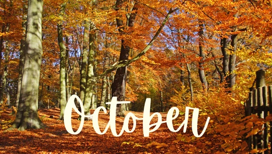 October 2026