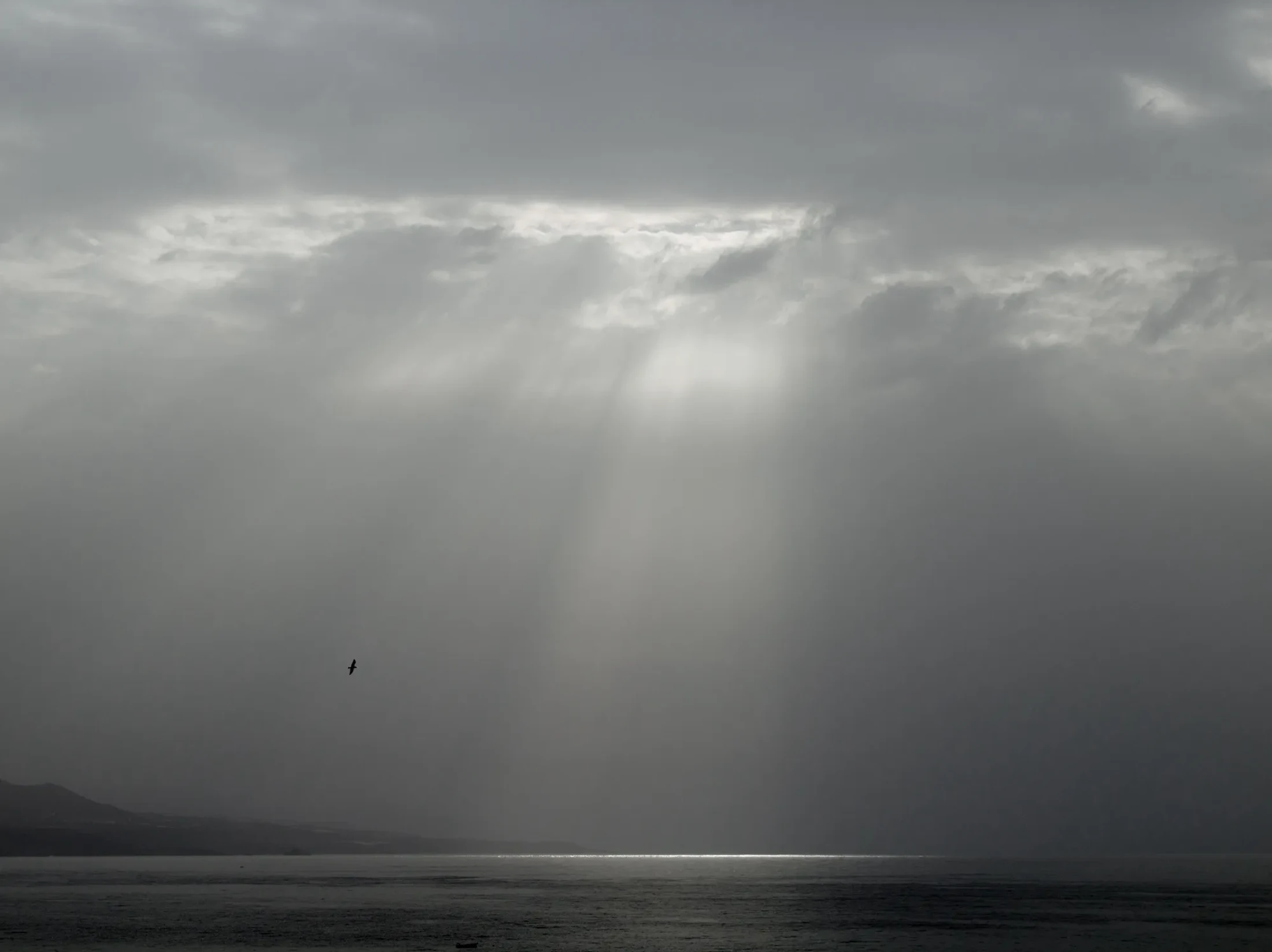 A moody, monochrome seascape where beams of light pierce through heavy clouds, illuminating the water below. A lone bird flies in the distance.