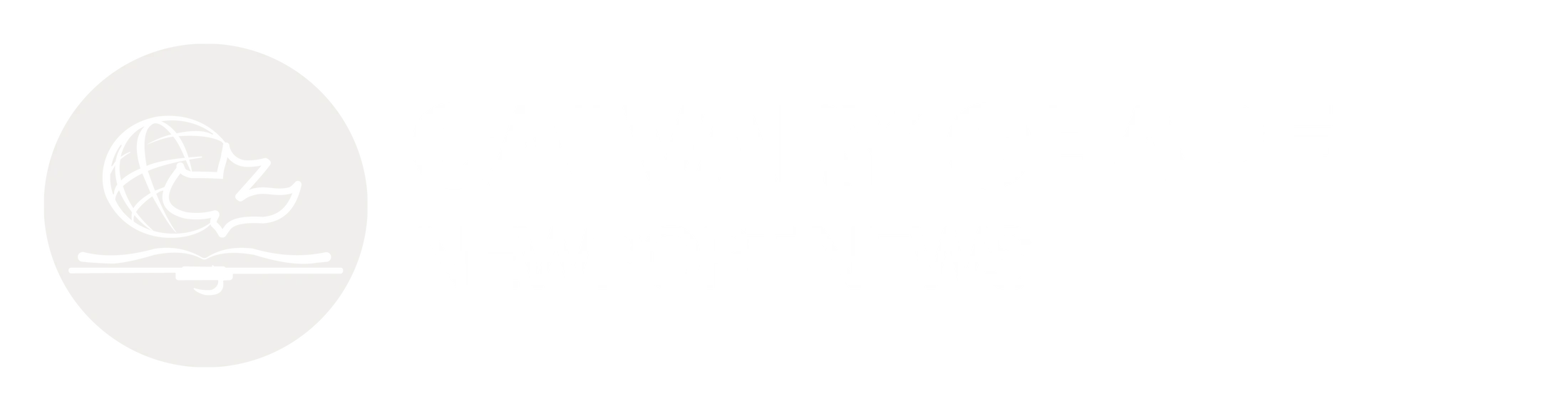 Main Logo