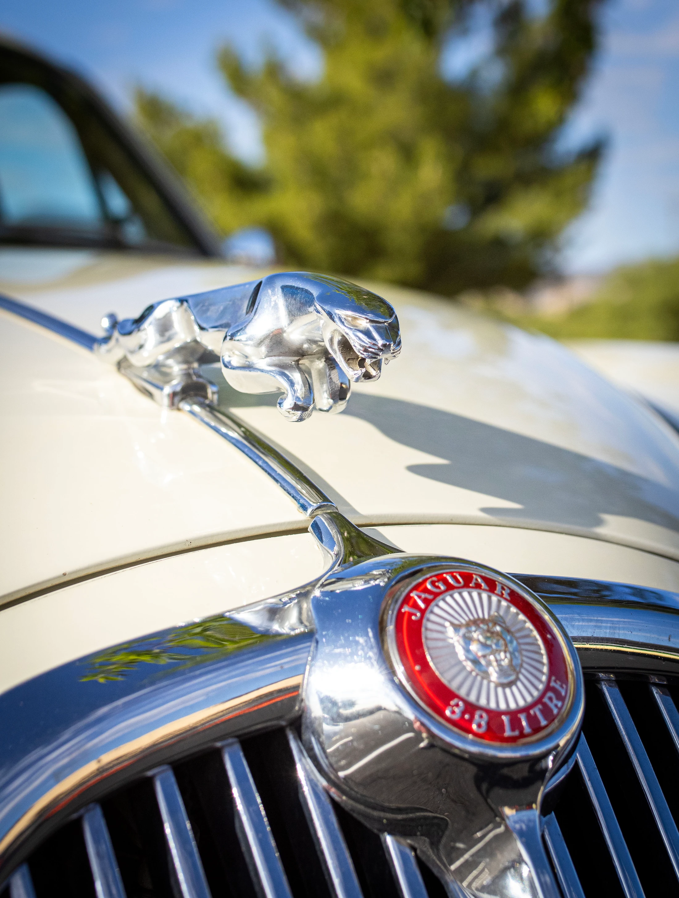 Close-up of the chrome leaping jaguar hood ornament on a vintage cream-colored car, with the red 3.8 Litre emblem on the grille below.