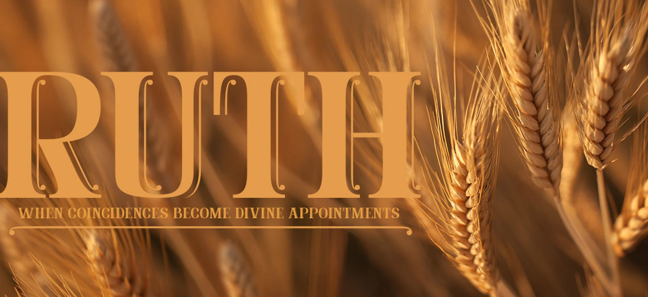 The word 'RUTH' in large orange-brown text over a sunlit, out-of-focus background of golden wheat stalks, with a subtitle below.