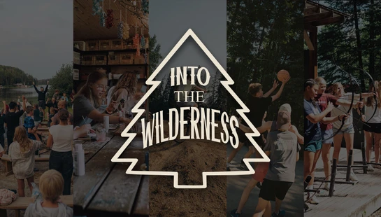 Into The Wilderness