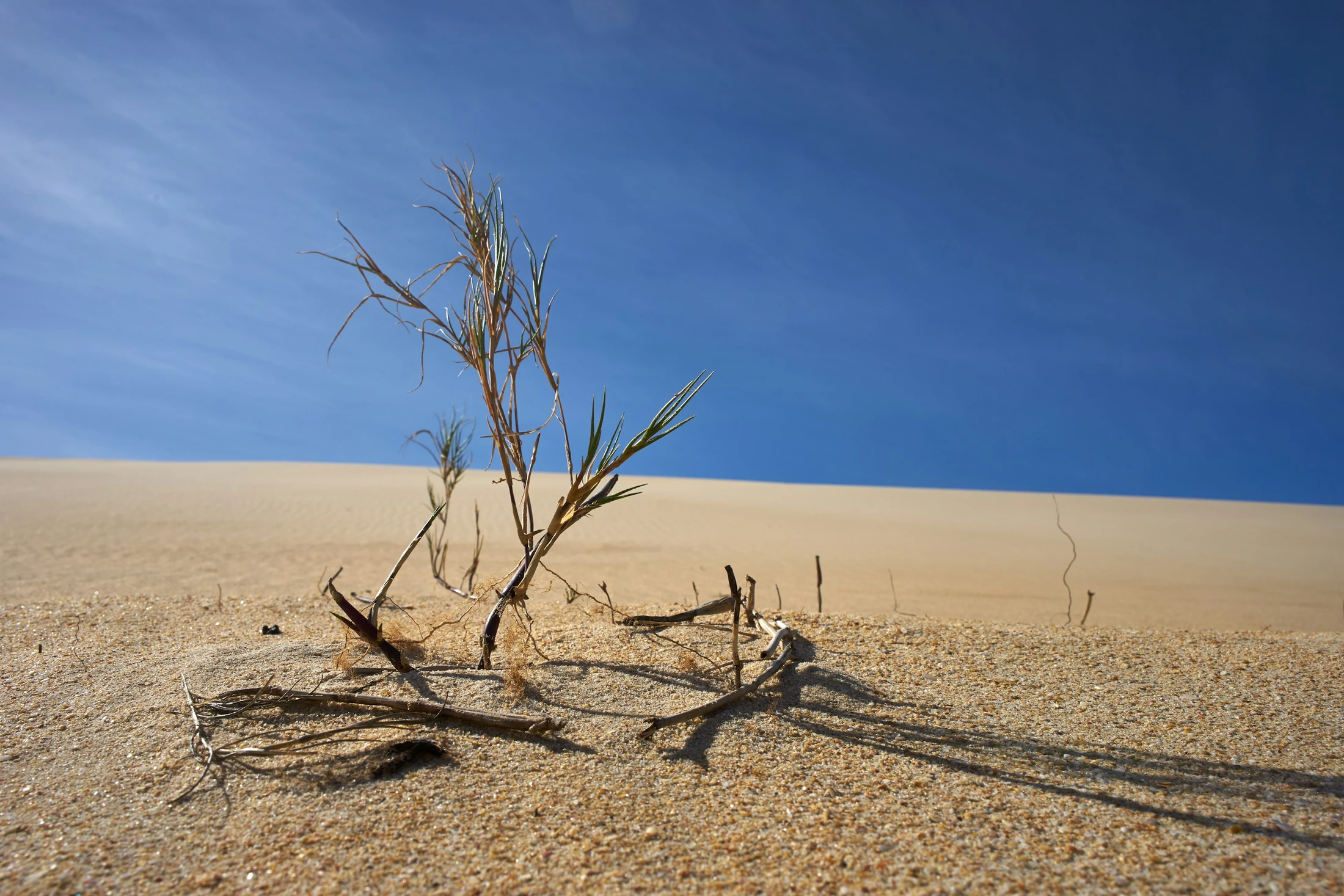 Mark 1:35-45 Jesus in the Desolate Places