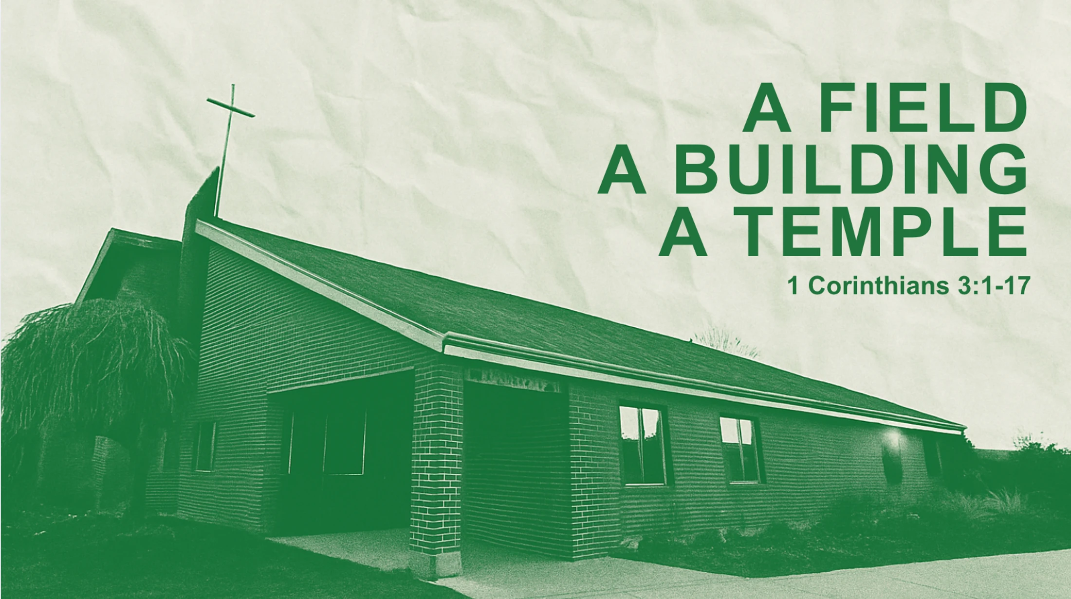 Growing & Building