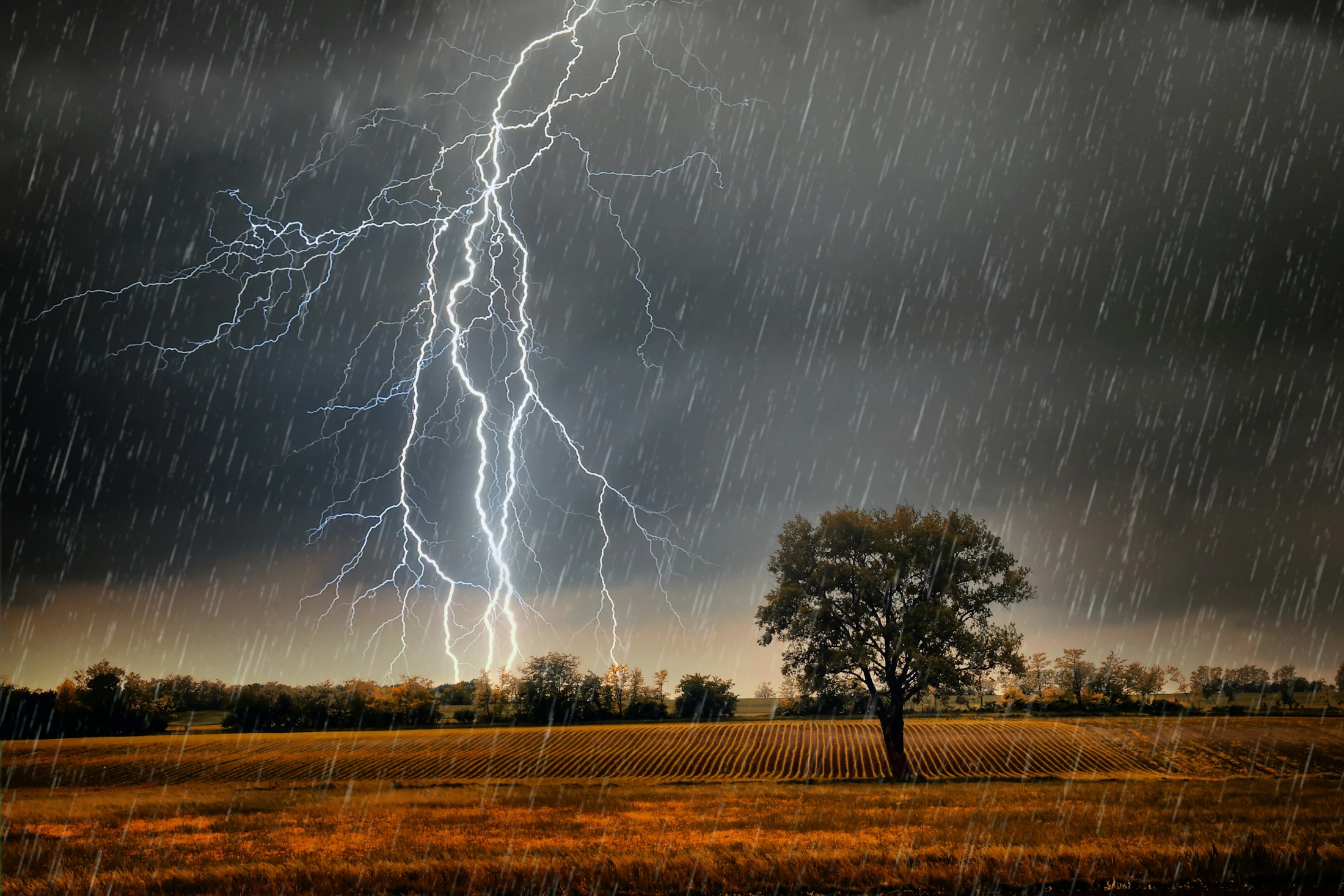 The Storm Stops at the Border
