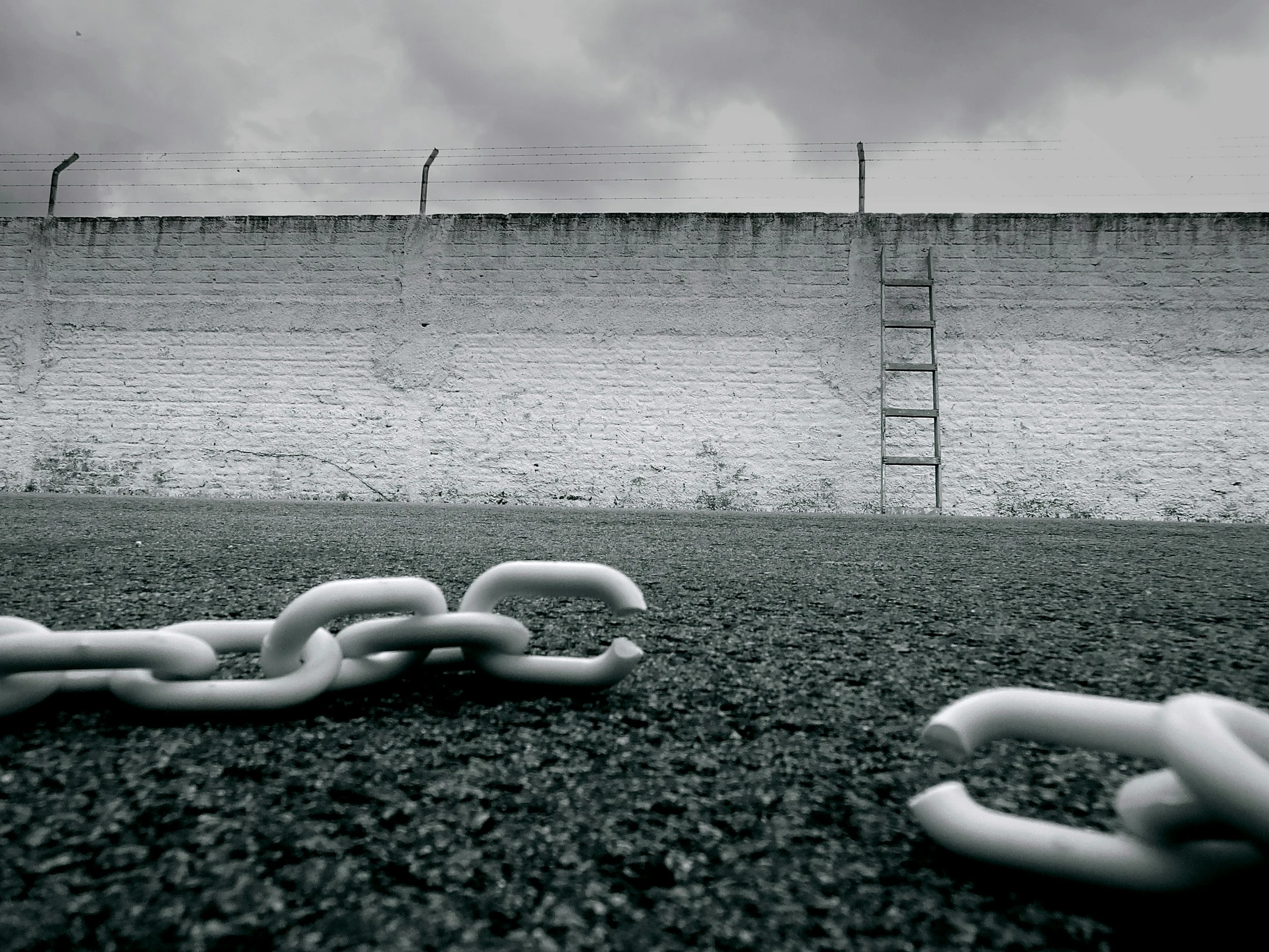 Obedience Meets the Moment