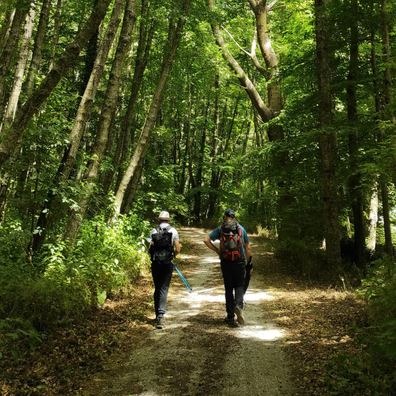 Hiking Group