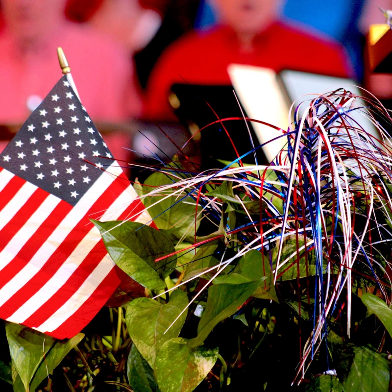 A small American flag and red, white, and blue tinsel sit in a green plant as decoration. In the blurred background, people are gathered for an event.