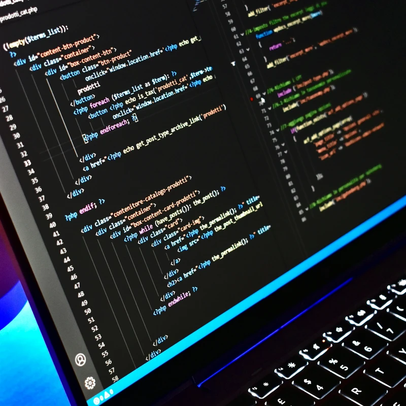 What You Get When You Hire a Web Developer