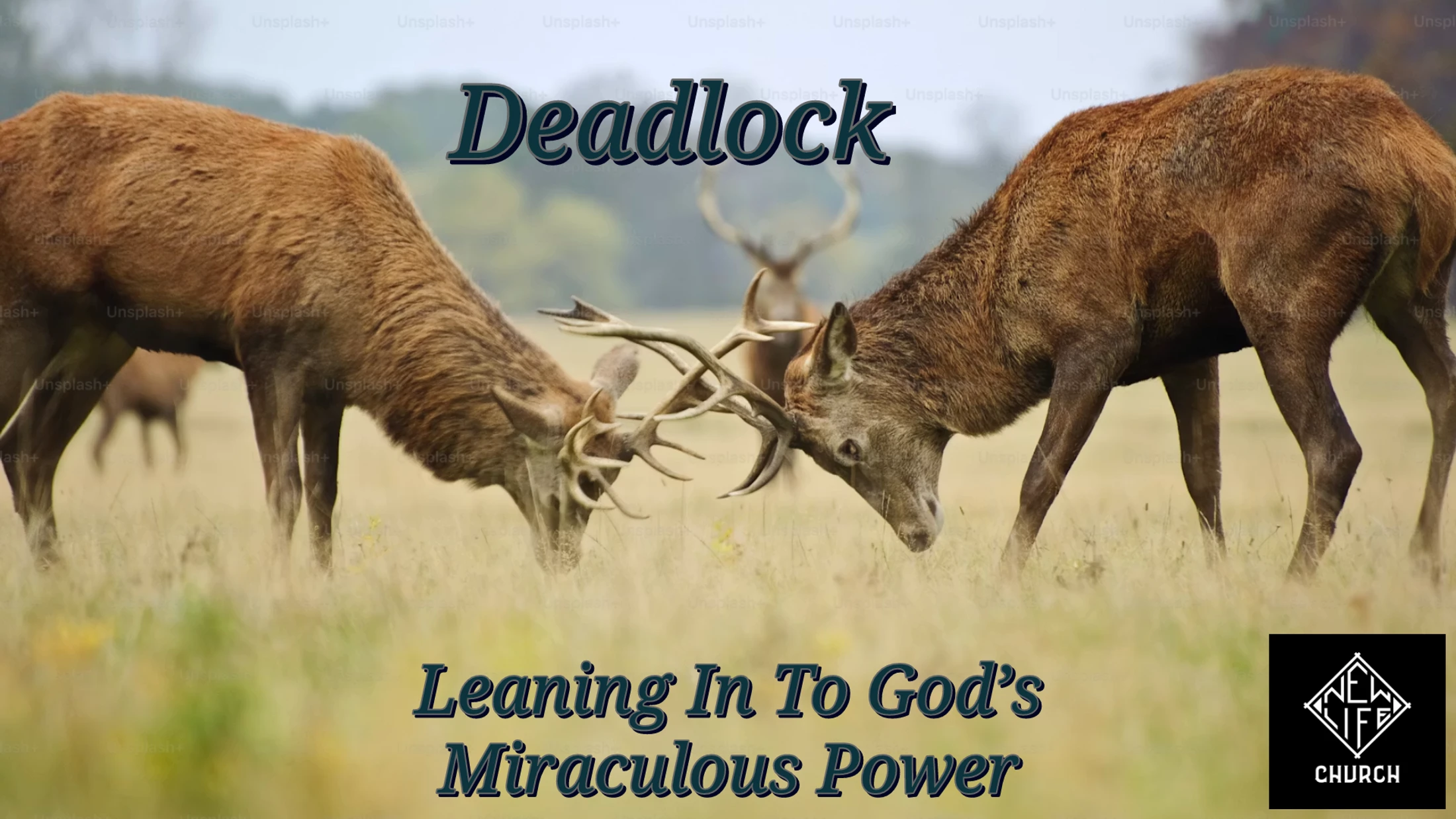 Deadlock - May 31, 2026