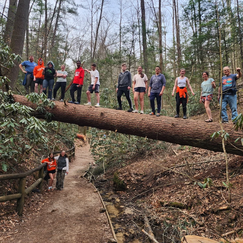 A large, diverse group of people smiling and posing for a picture while balancing on a massive fallen tree trunk that bridges a path in a dense forest.