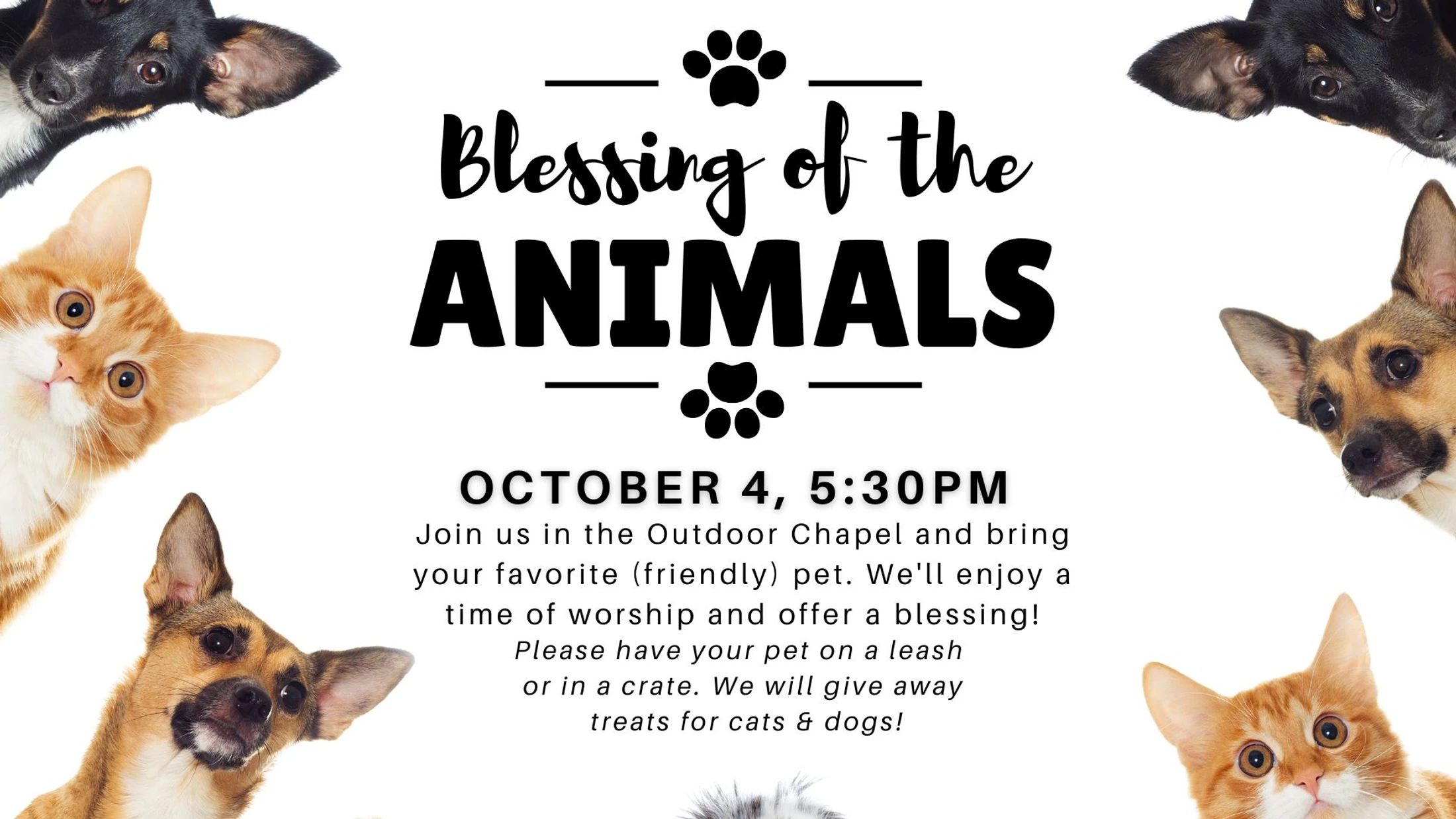 Blessing of the Animals