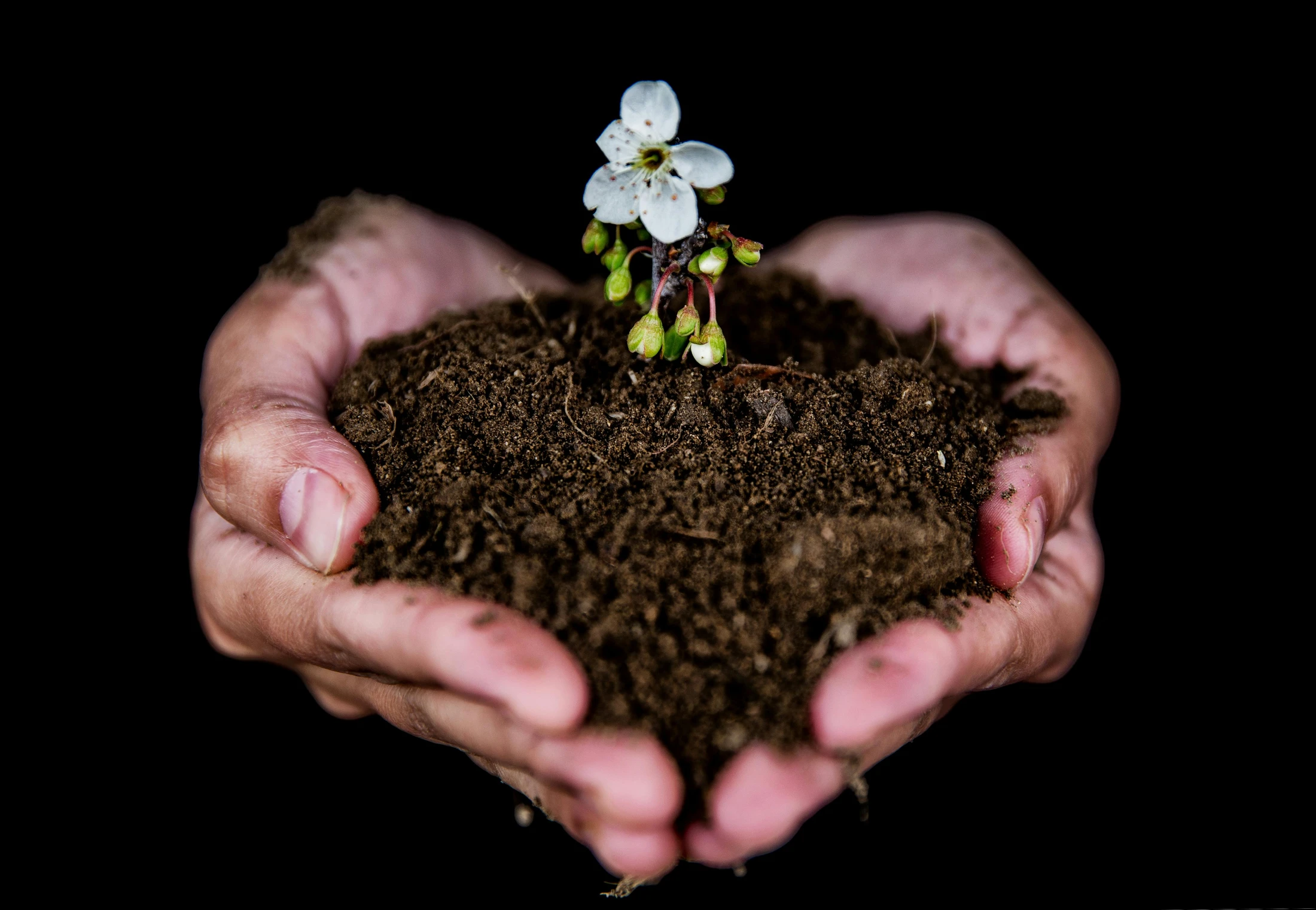 Grace Together and a Word for 2026: Cultivate